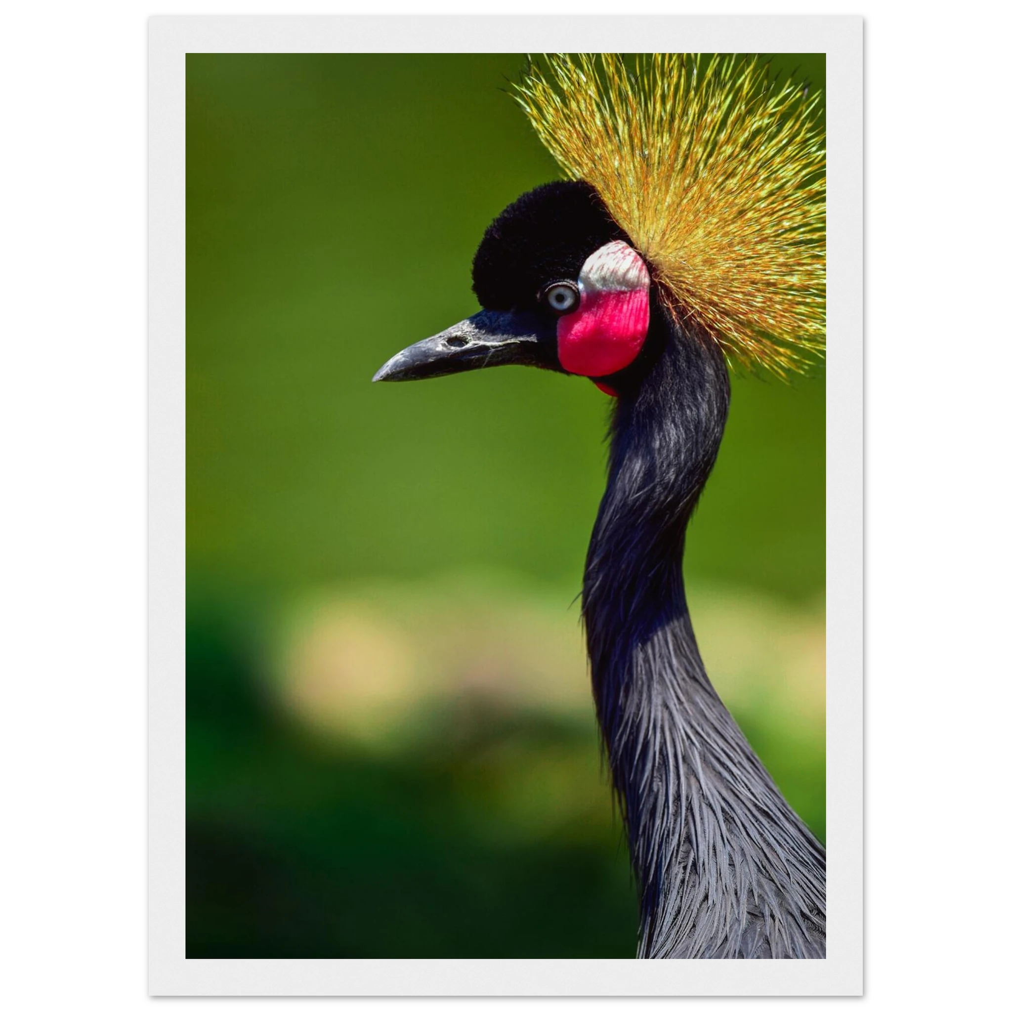 3829b0a4-4b63-48b5-9c92-e78d6e3ed9ce