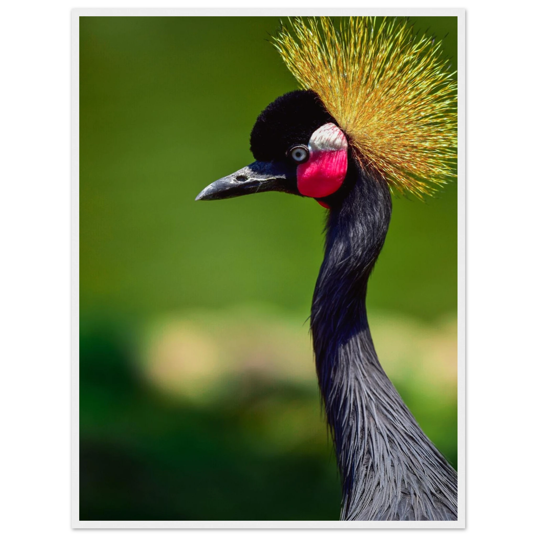 3844d2f4-8bb0-453c-a39c-3569ead4fa75