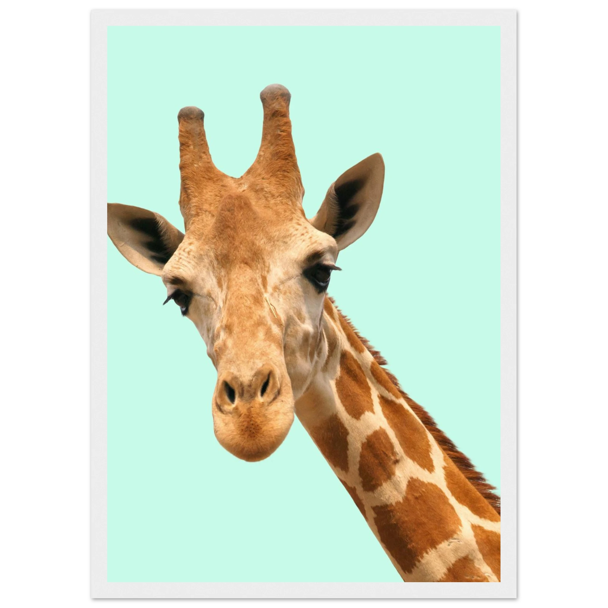 384c10a8-766d-4caf-ac98-52663a63253a