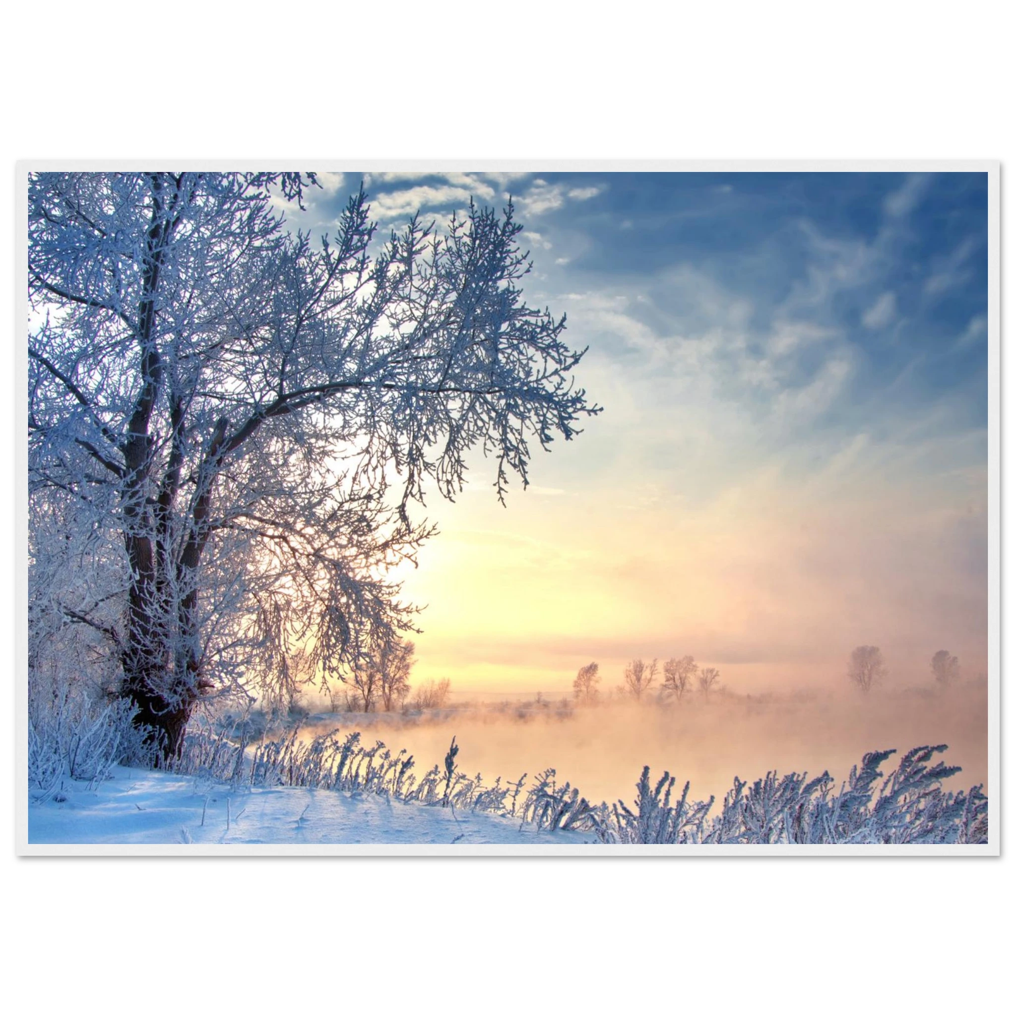 38648598-3d33-4e2c-9e02-a8abf0848f08