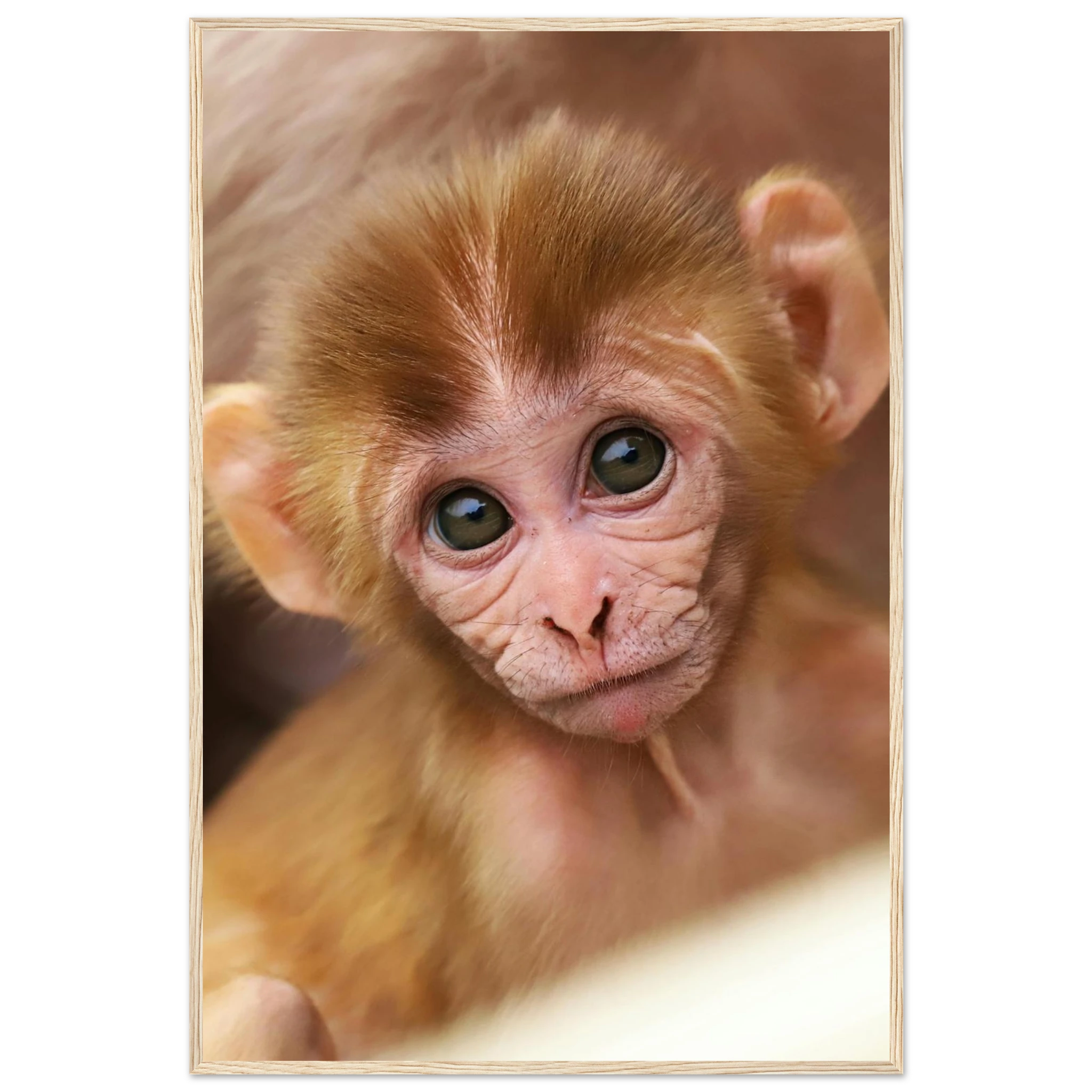 3869aa75-bf29-44d3-b8d9-7edf11debb00