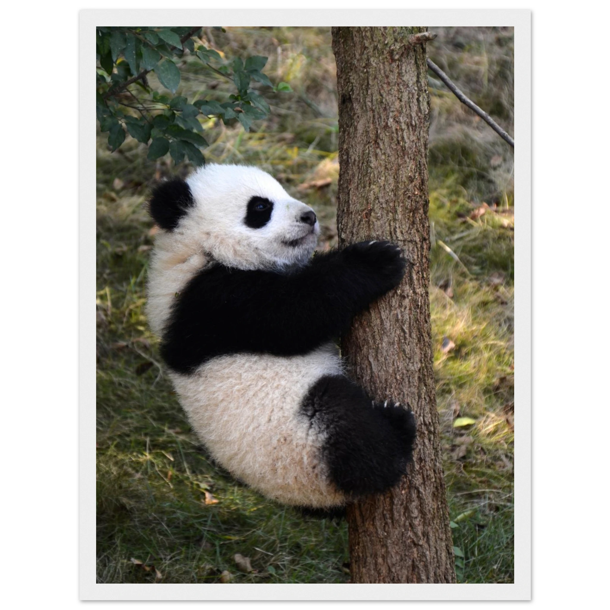 3875ebd1-94d9-4a55-94f0-3b8eb0766516