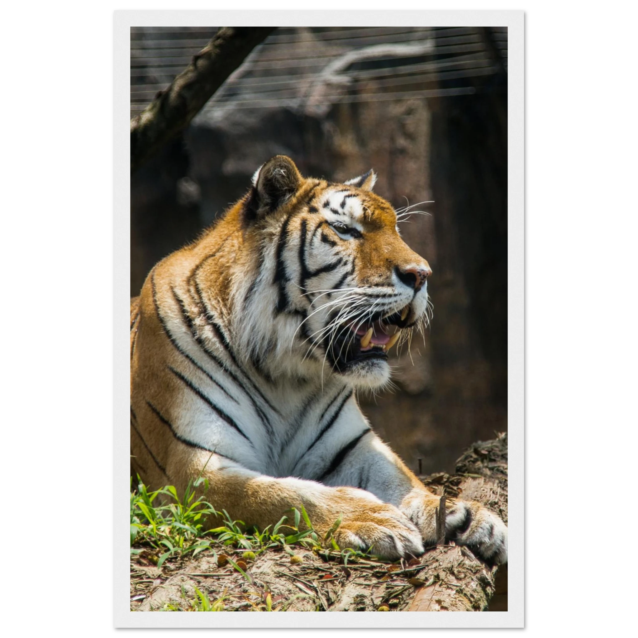 3879db7c-3150-4916-b1c0-358a5698c9e3