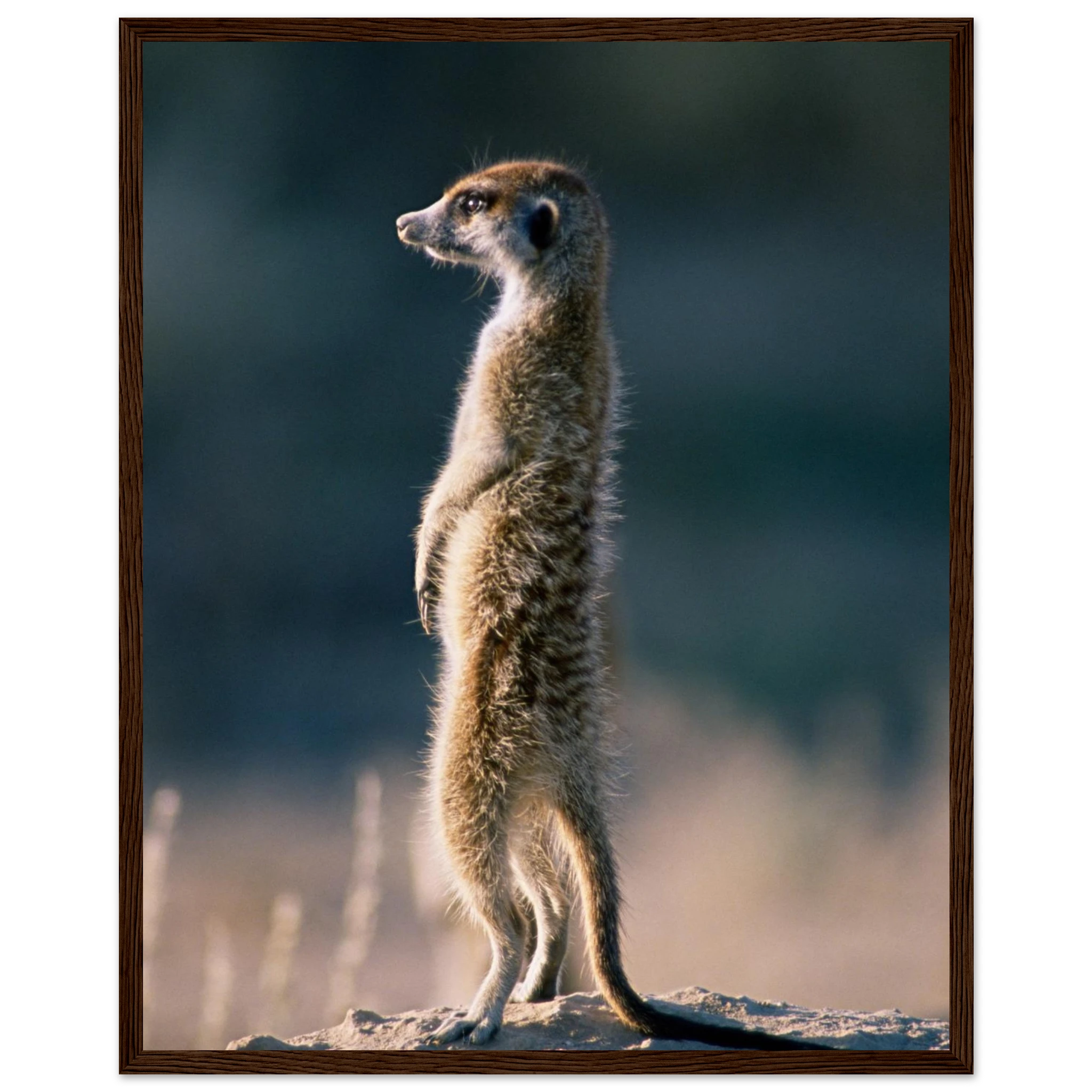 388cd82e-4637-4fb2-b534-dc36049ba8f5