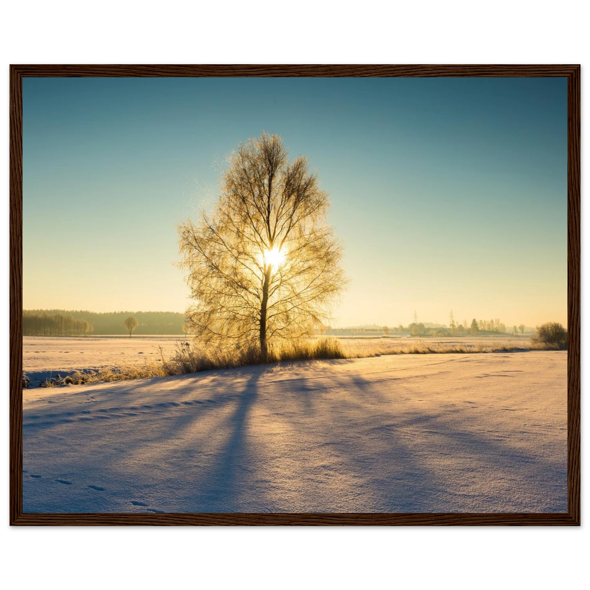 38a43d9a-5206-4dc0-a23a-fe6136269f98