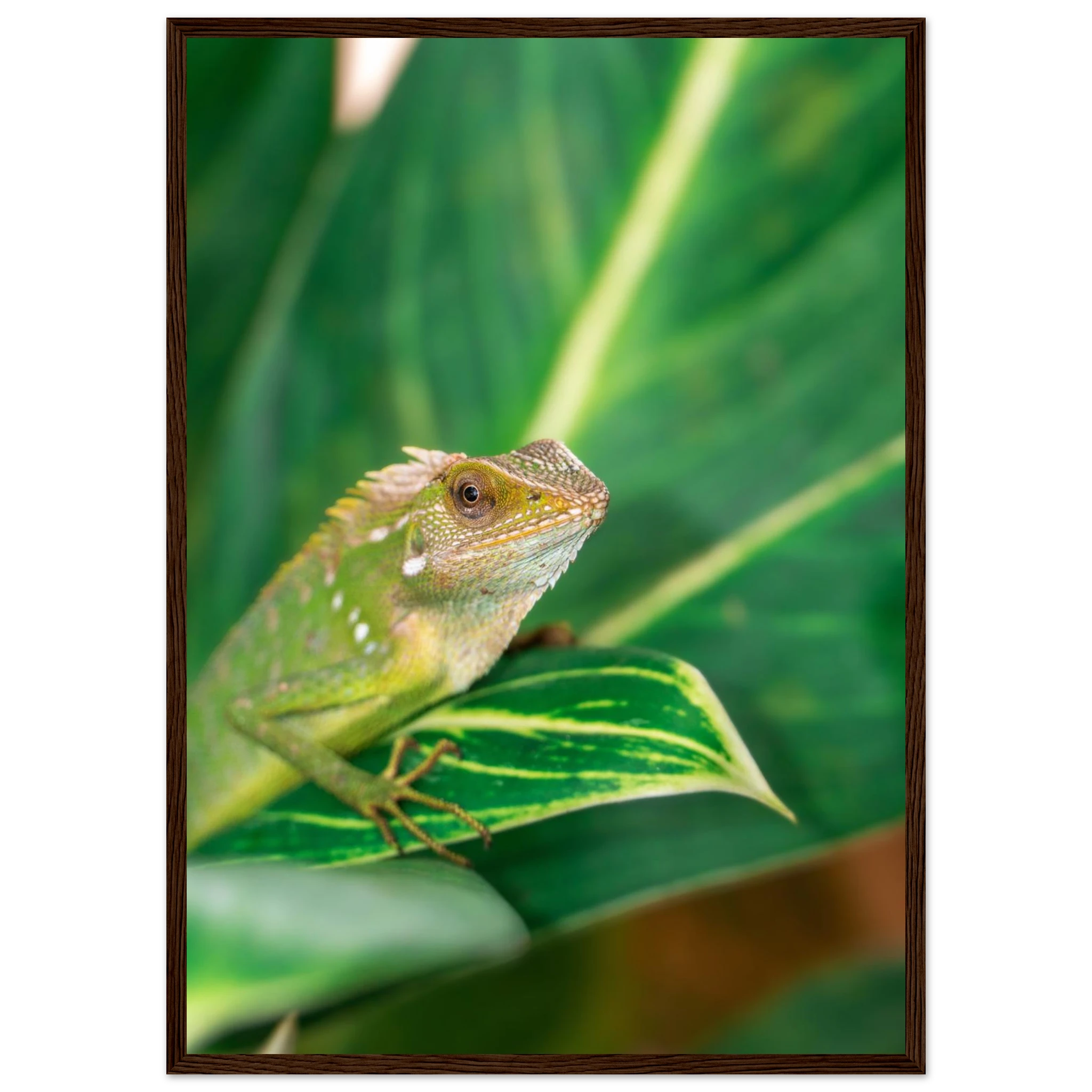 38b3bf4f-4418-4eb4-b072-15c83b044885