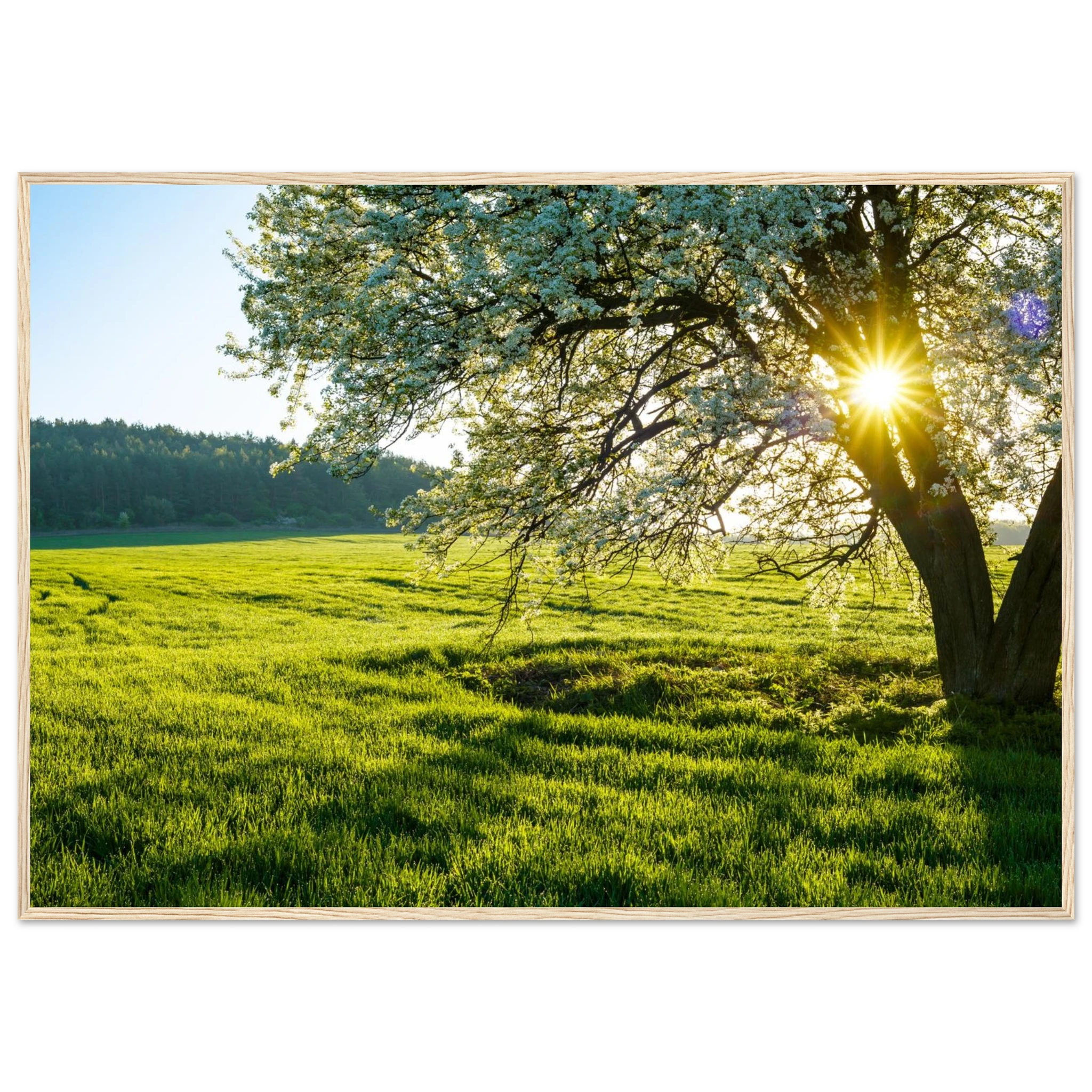 38be2221-11ce-4010-a051-4661515de7f3