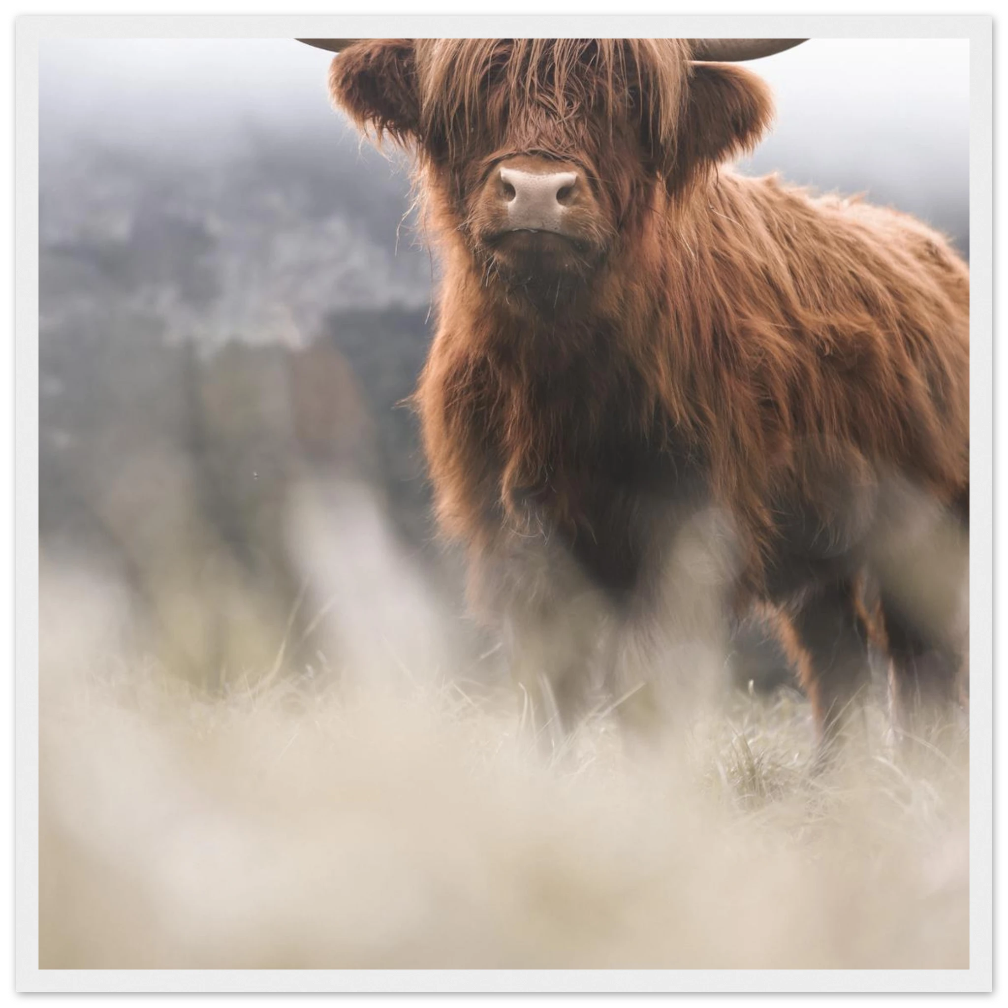 38c49862-299c-45dd-8aae-bbfe00a0ddbf