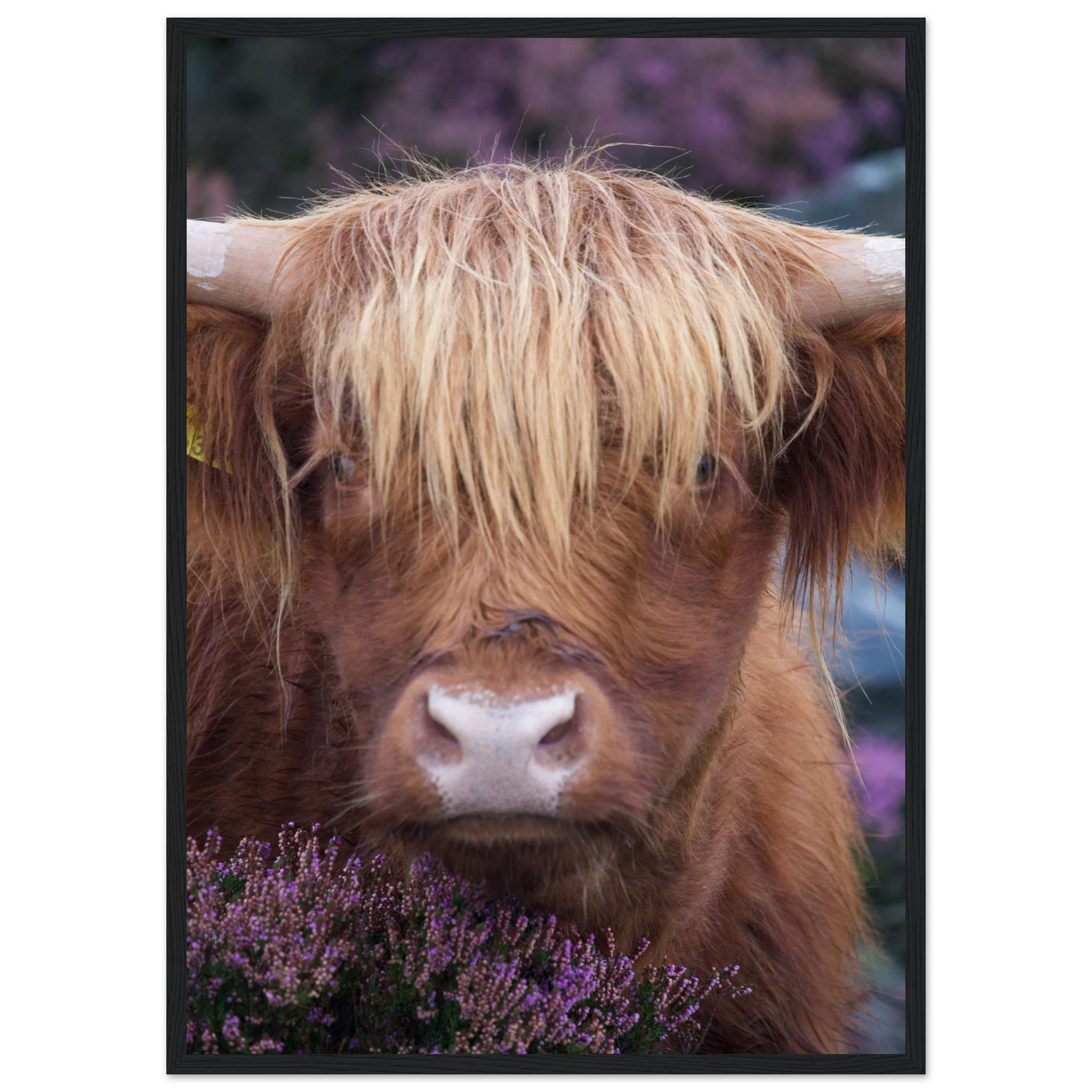 38c72f2a-fb42-46fa-b3f4-a6cb30e8ae49