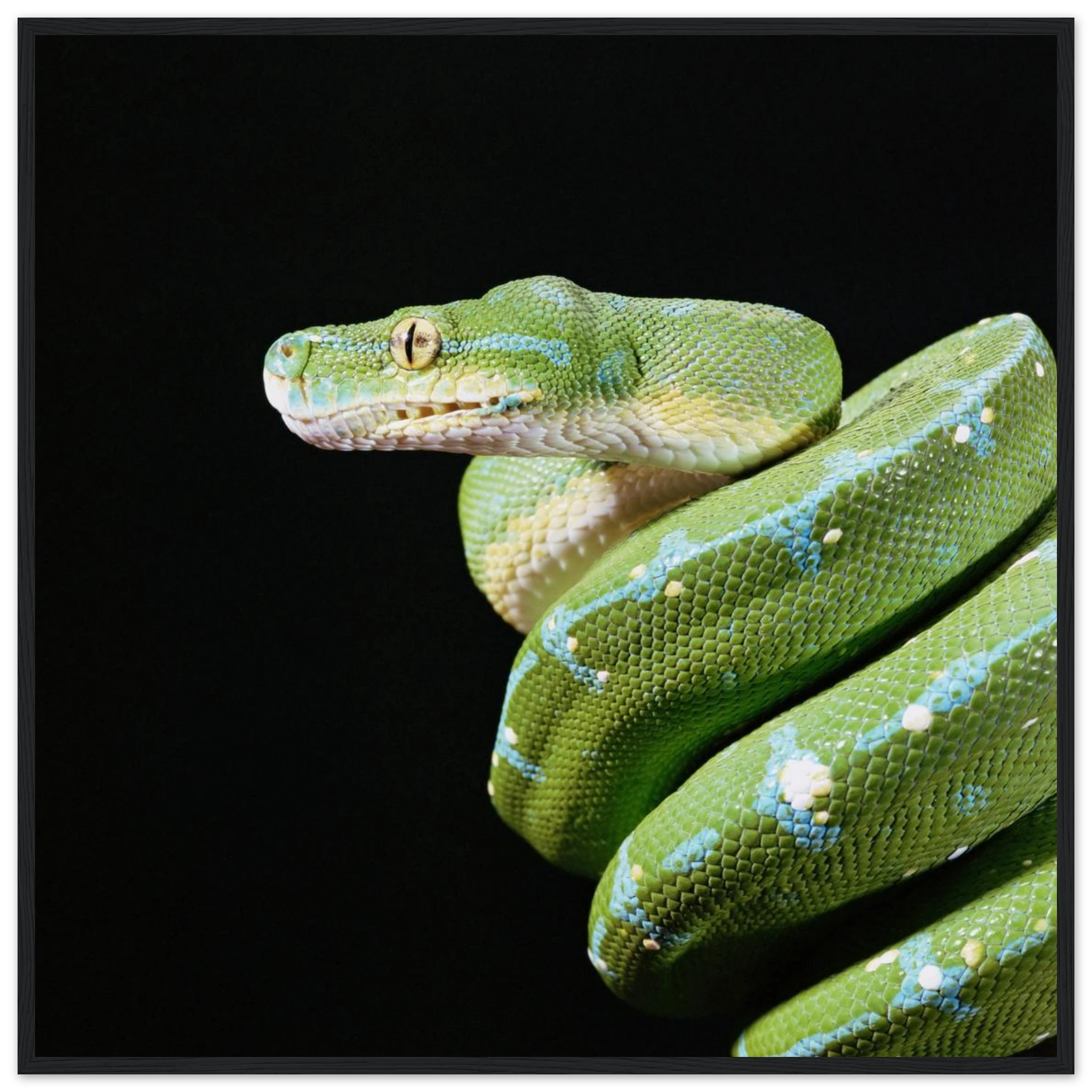 38cbe3b1-d923-4d01-b4e6-095f7538ef4f