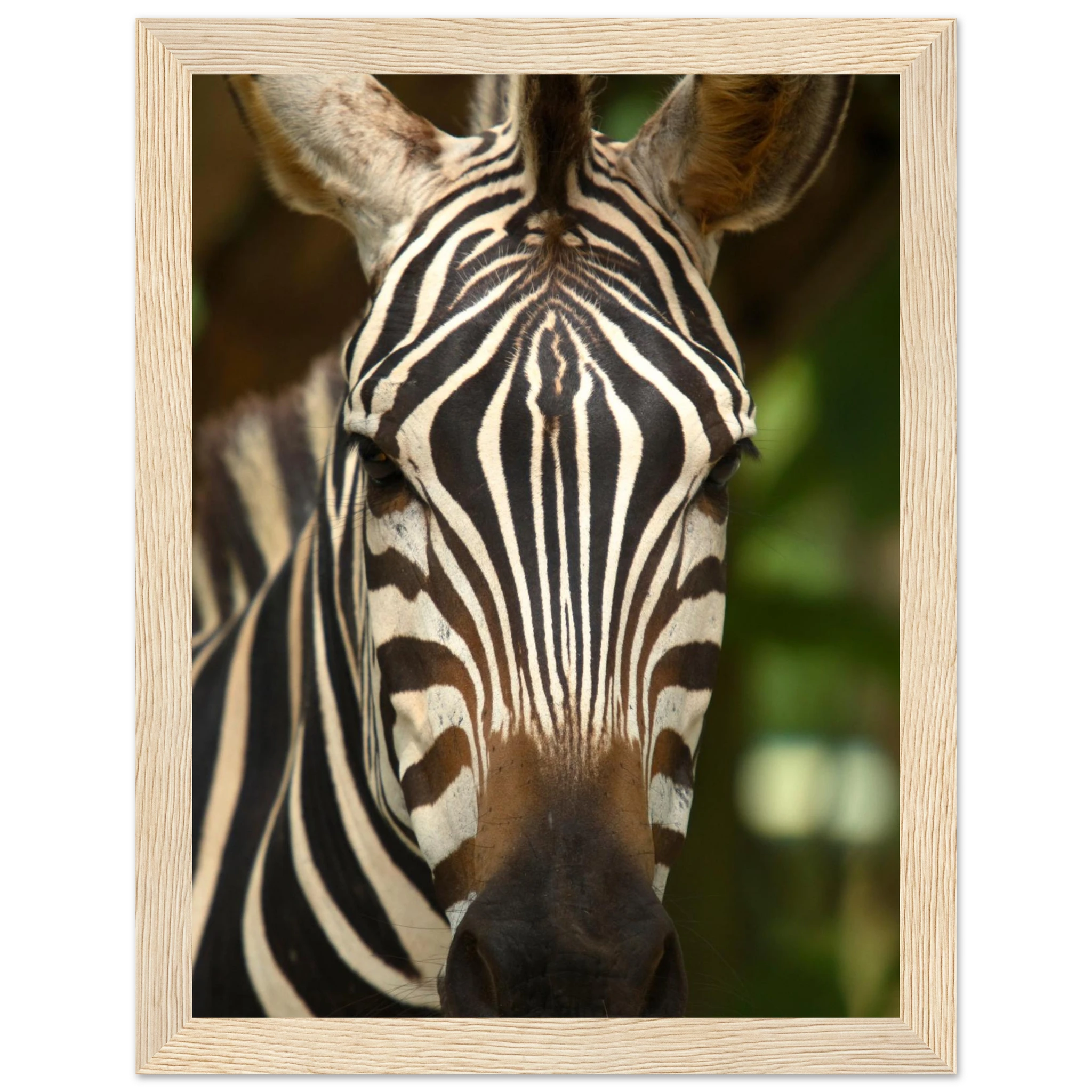 38cdbb2b-0e1d-4bf4-b5b1-e55813e34deb