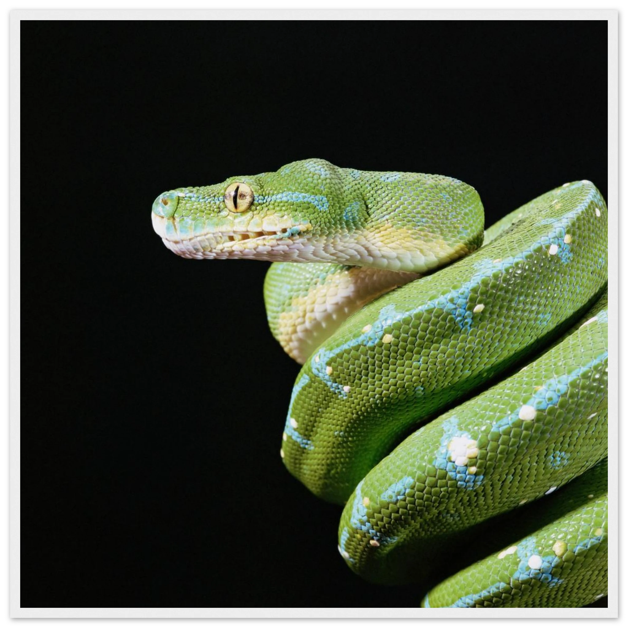 38dd0463-5cb3-4d4f-80aa-b4234360a497