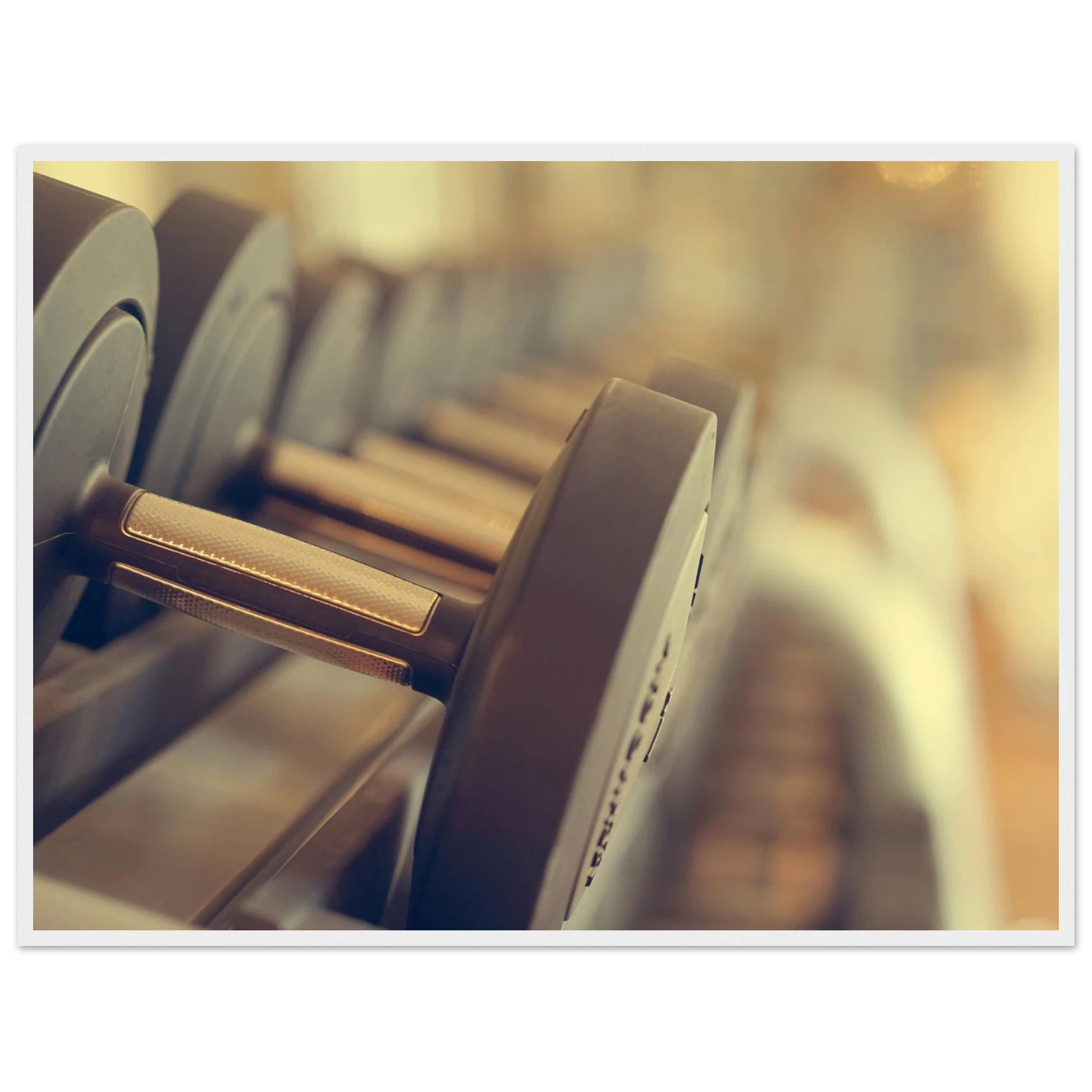 38ff54e0-e1a9-4a57-9873-36f74ca91db1