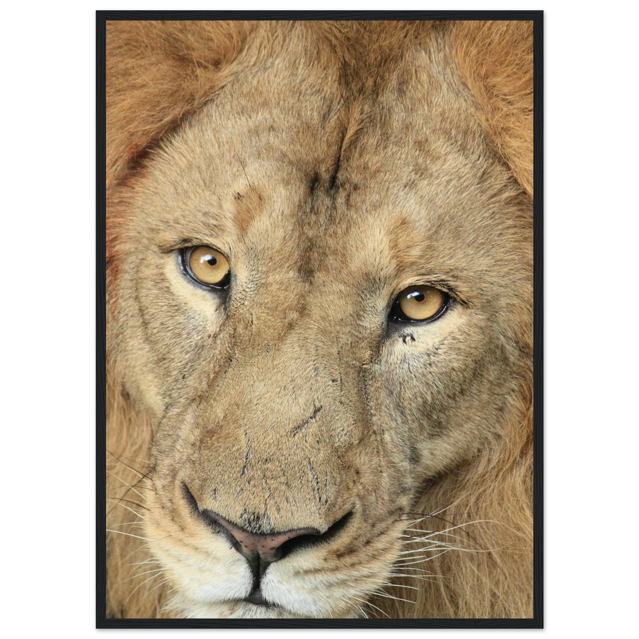 3904e0f5-9c25-4672-9c71-7c930c277dba