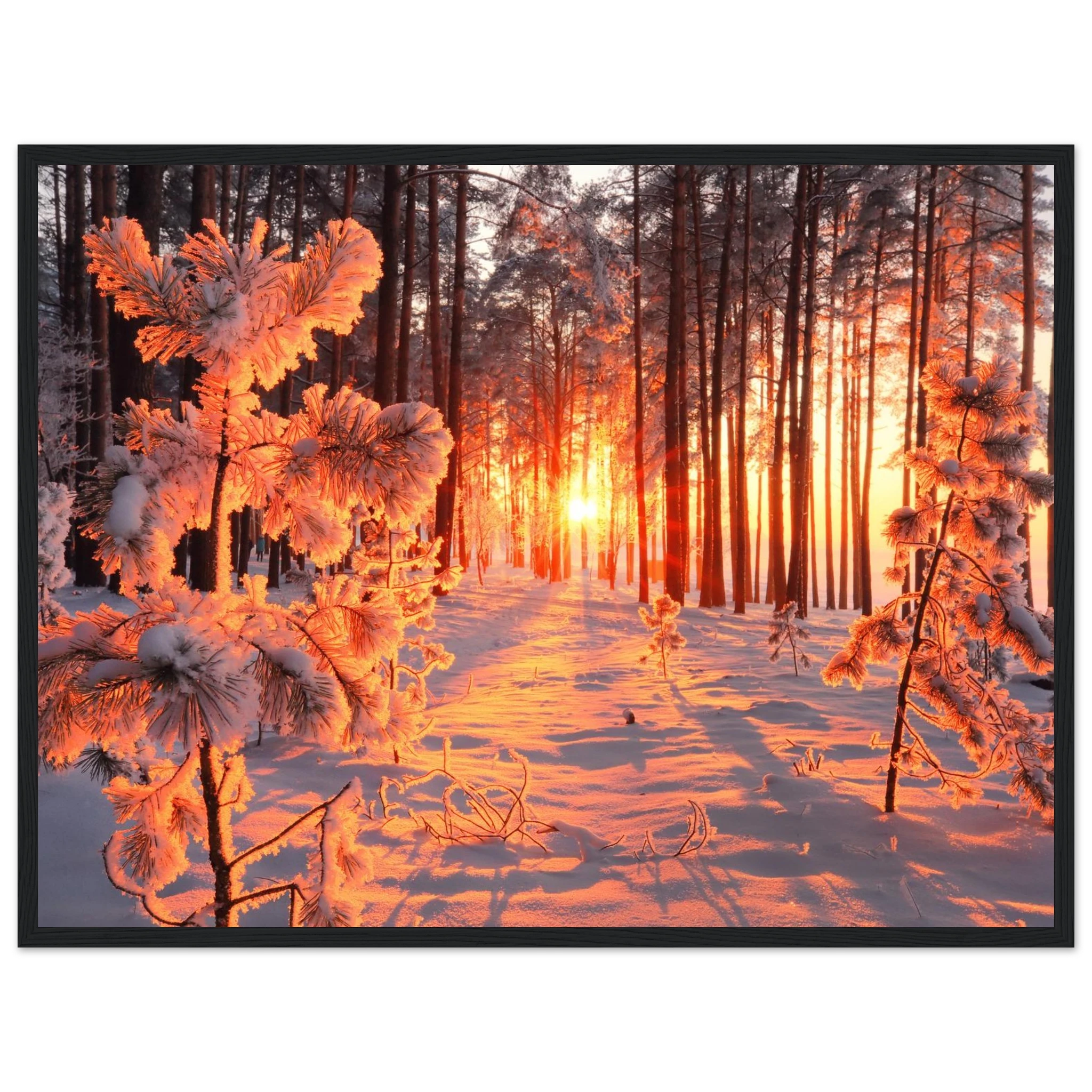 391ad471-bbf6-4a67-b7cd-21a44cb68920