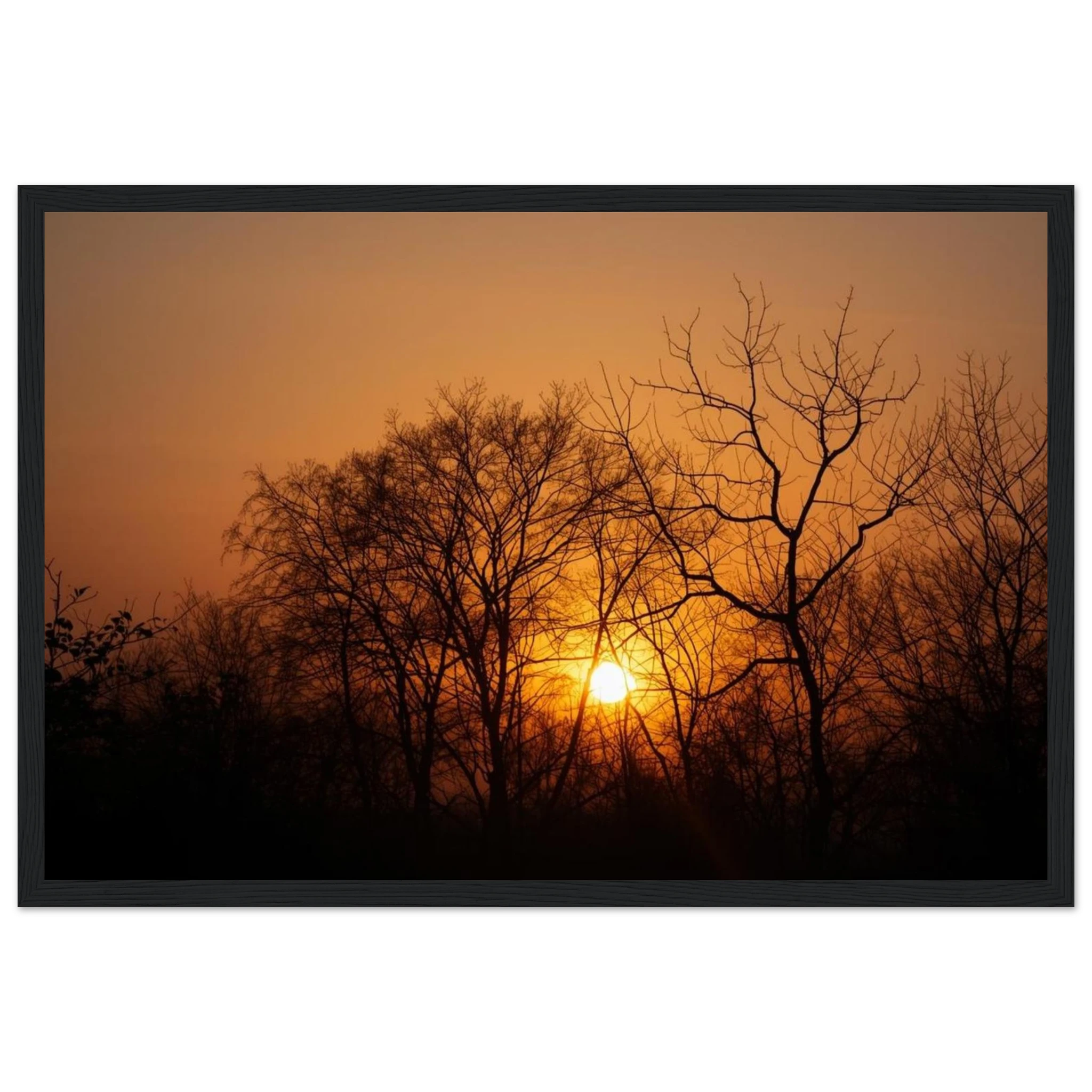 393655e8-8db2-4a65-b82d-469b6d0bb7fb