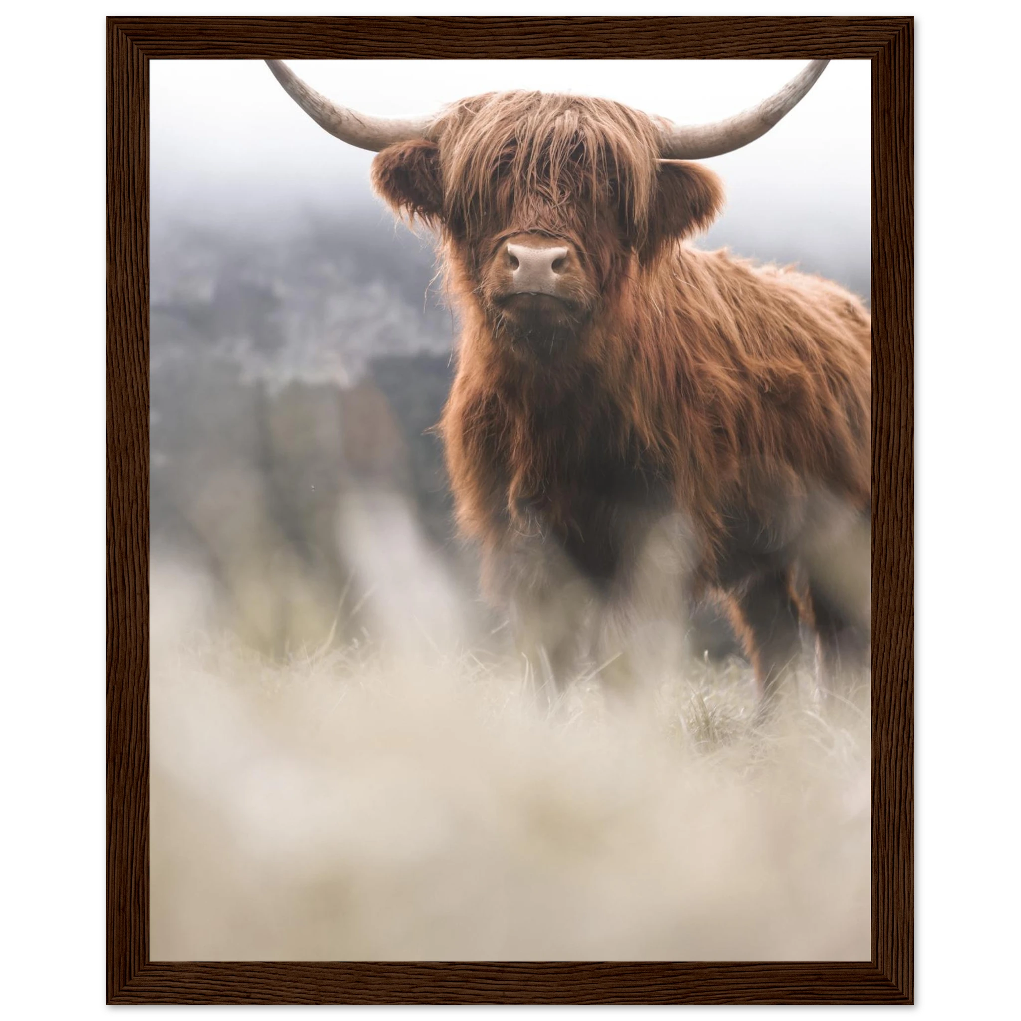 39537f18-cb20-4a83-8b62-71e9c47e7505