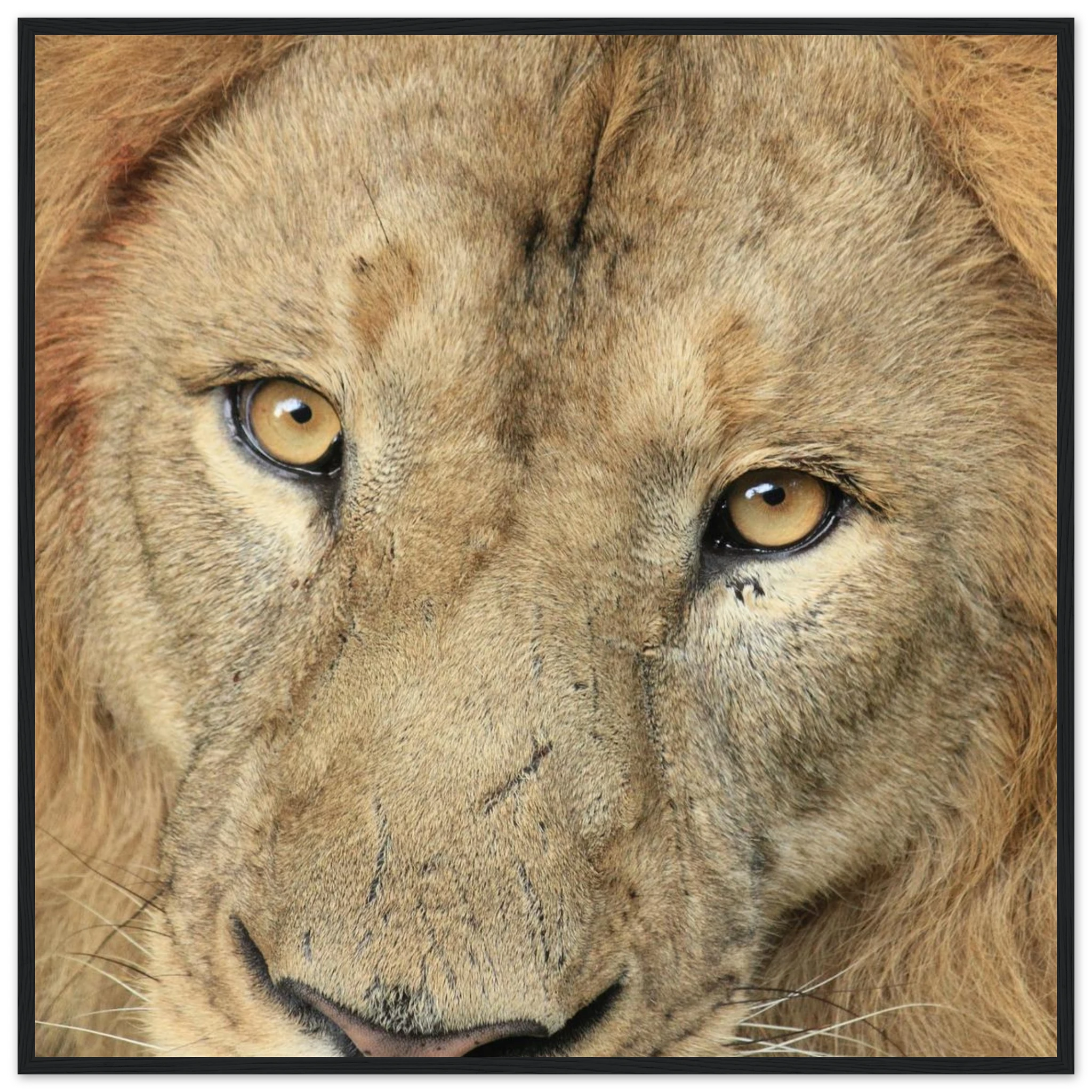 39565417-623b-416b-a9c0-ae43dd87cd75