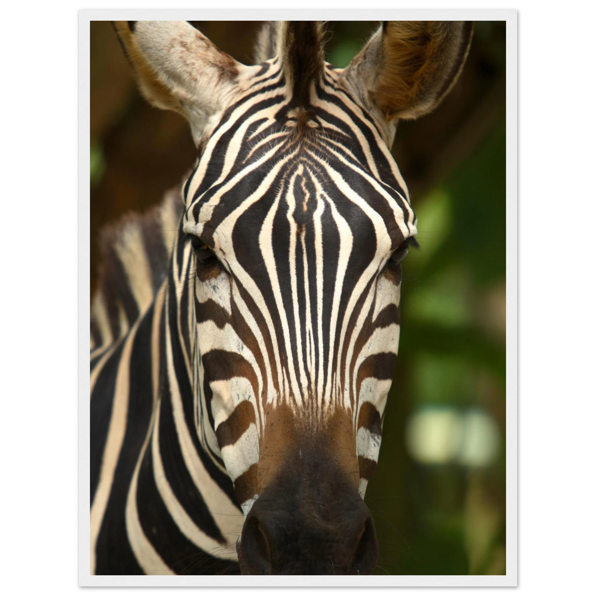 3962161e-eb50-41c9-8c32-f644d7de8ee4