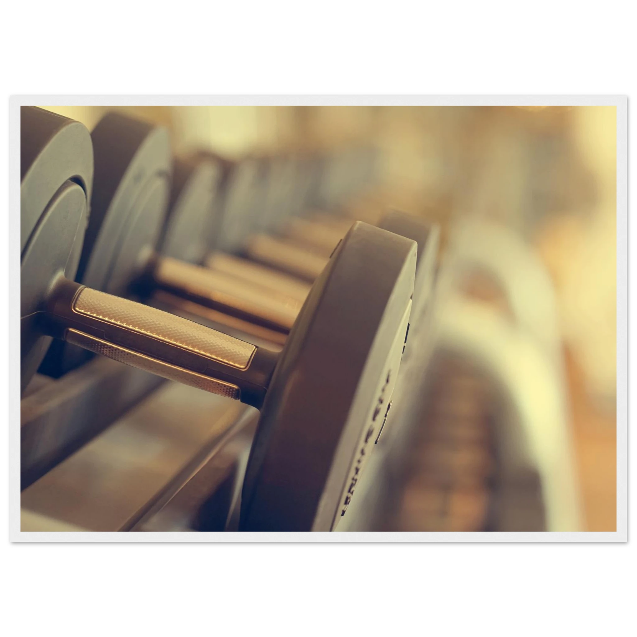 396a7f02-bdde-4855-b8c9-935c1ec6c550