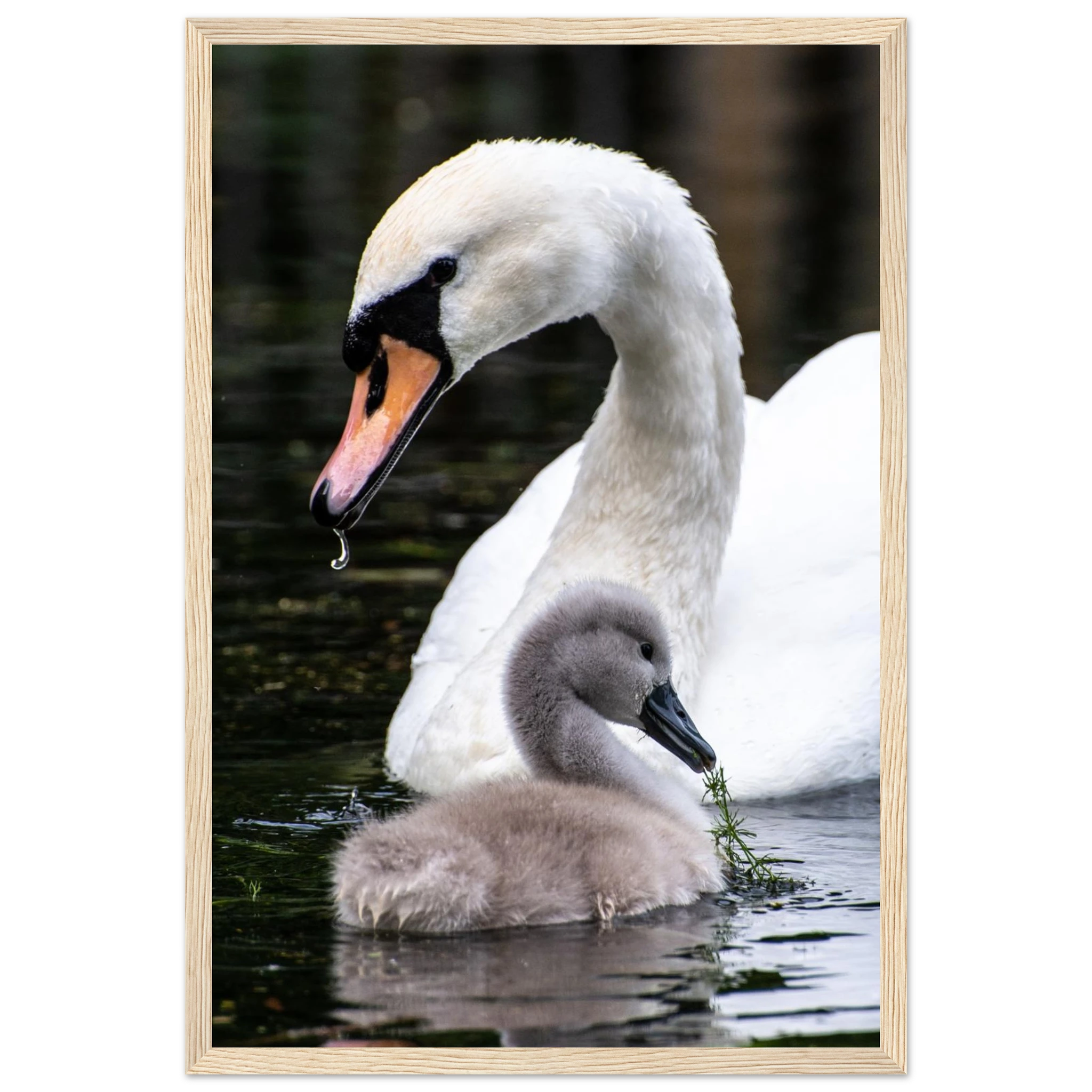 39703027-69ed-4f9d-84a6-0006a7373a62