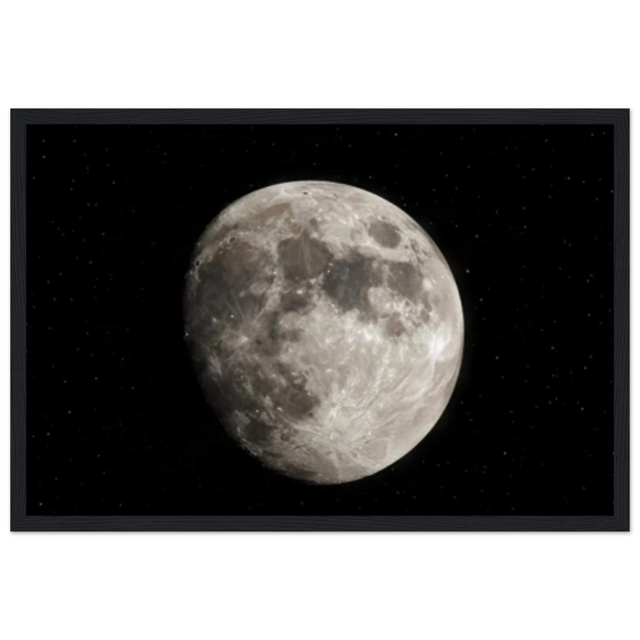 398a292c-6678-4e2f-b910-b69c5f5beddb