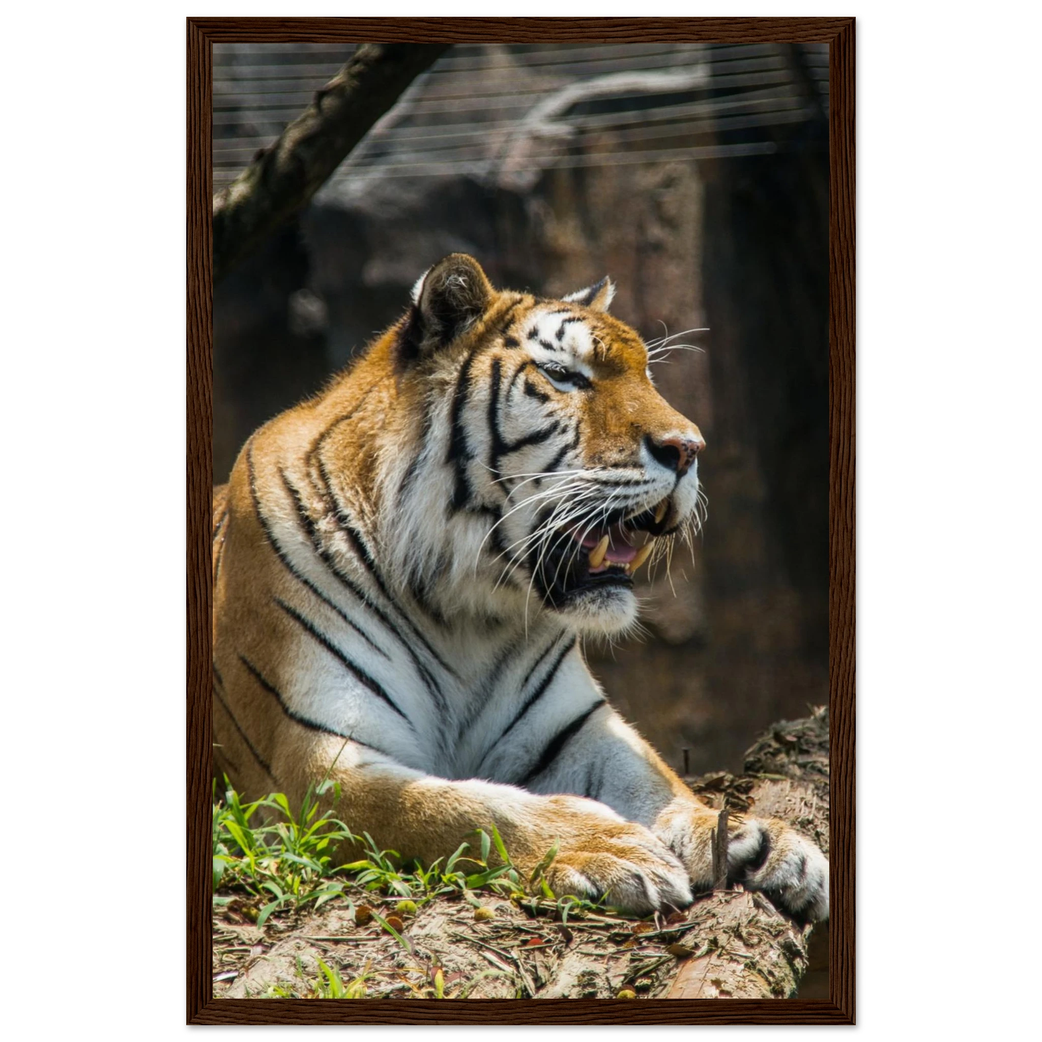 399f8a5d-0fea-4f29-a9e6-ad7b326cc2cb