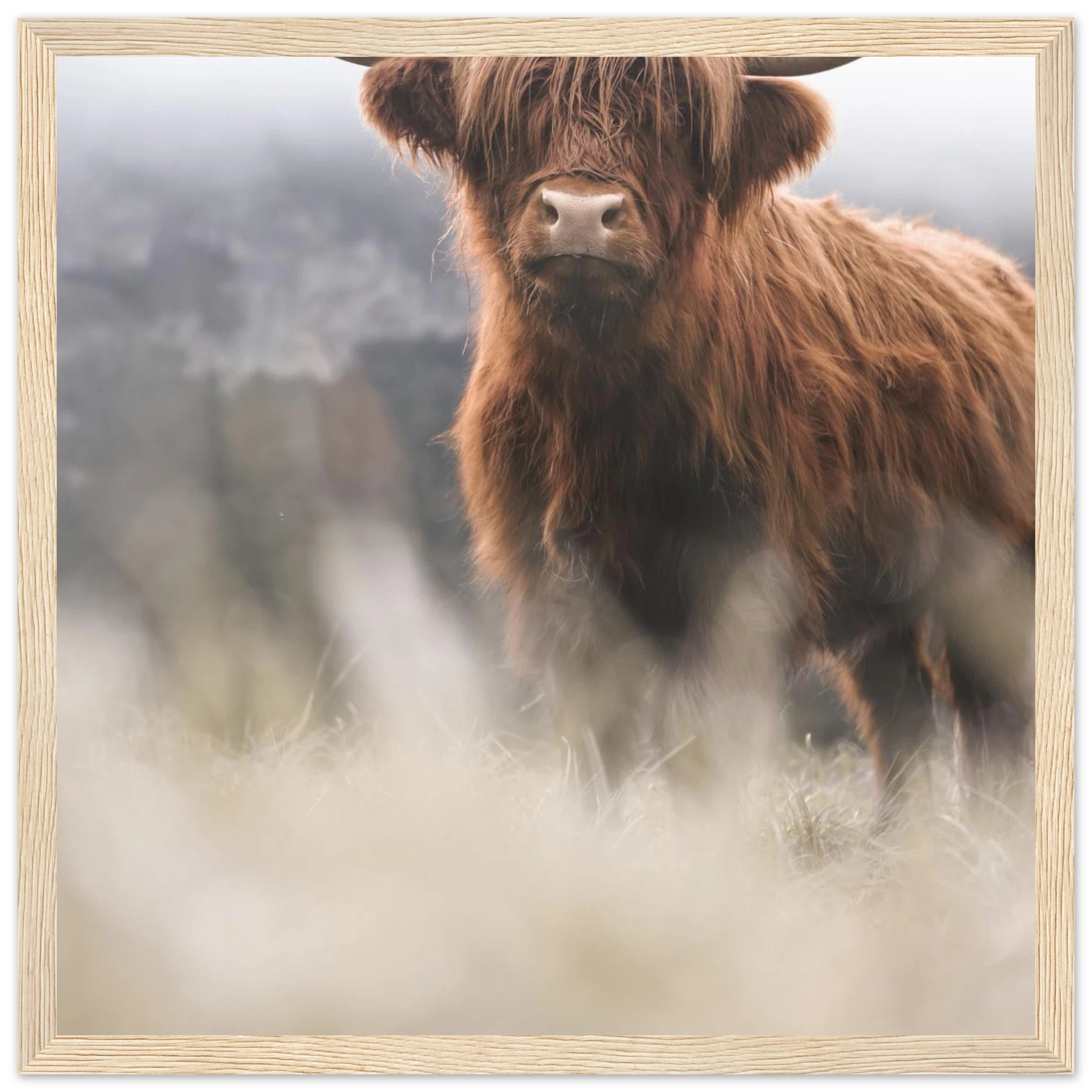 39a19537-e416-4c44-90e9-f59bb88cc5da