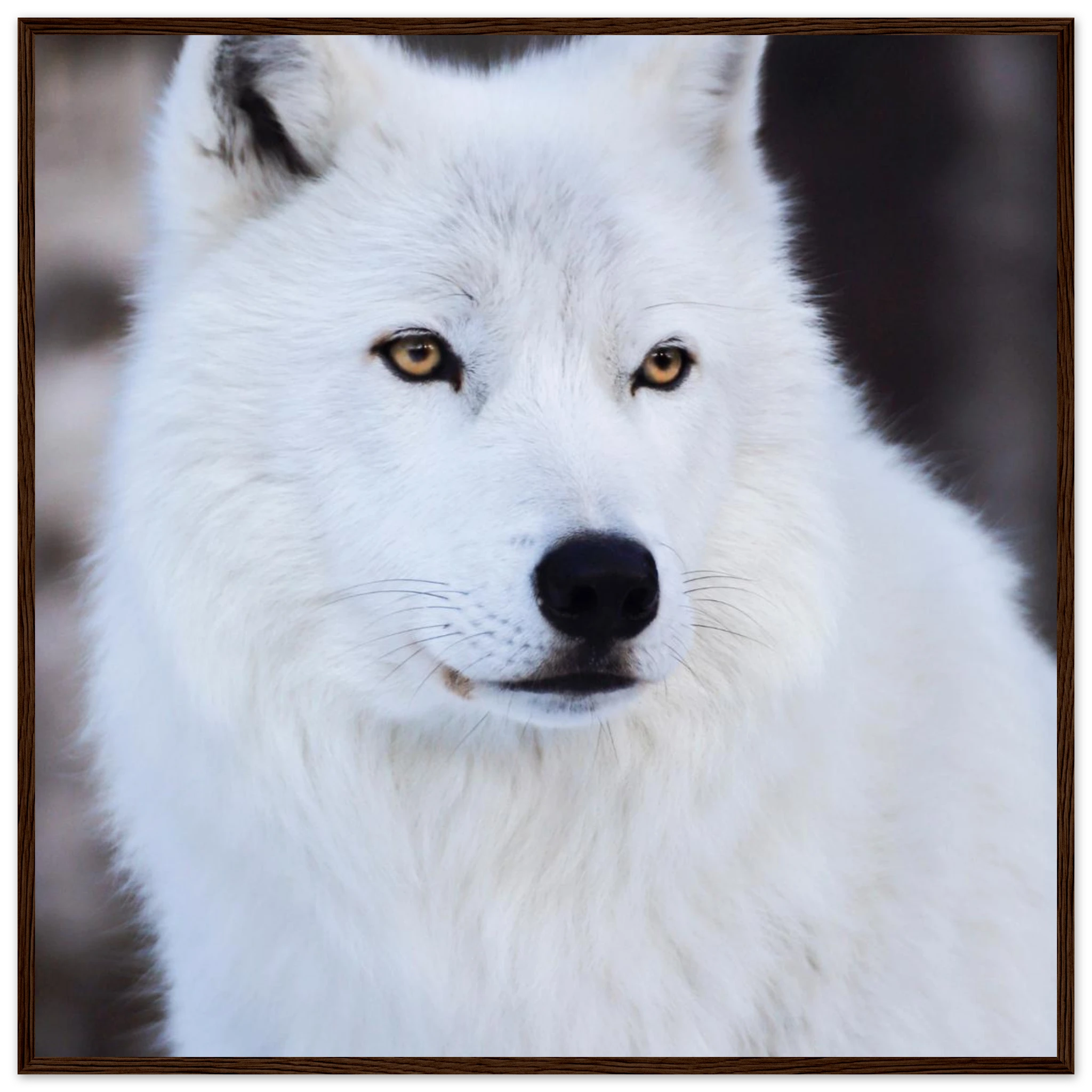 39b79d97-ed11-4be6-9851-ad7fb9d1b879