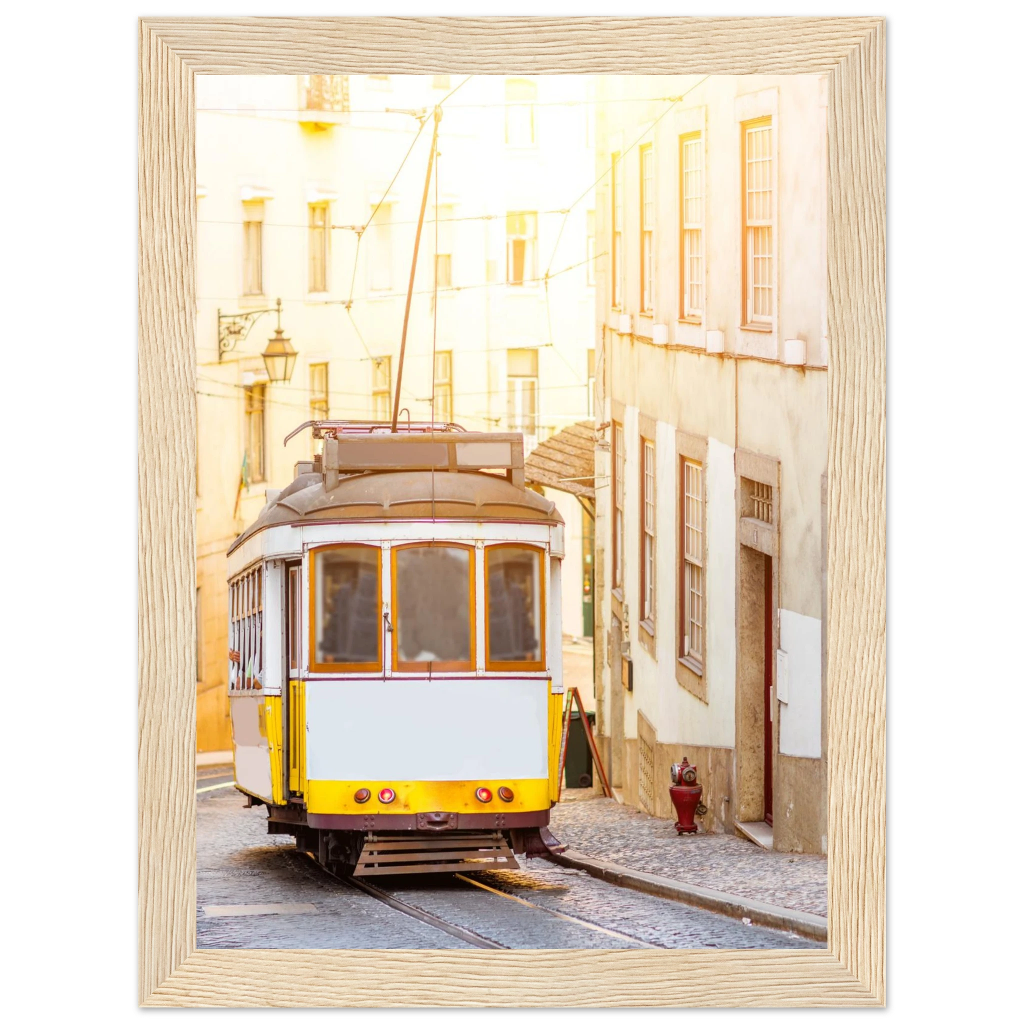 39bb84ac-cc2e-4b5d-9228-6ef9327c1b9f