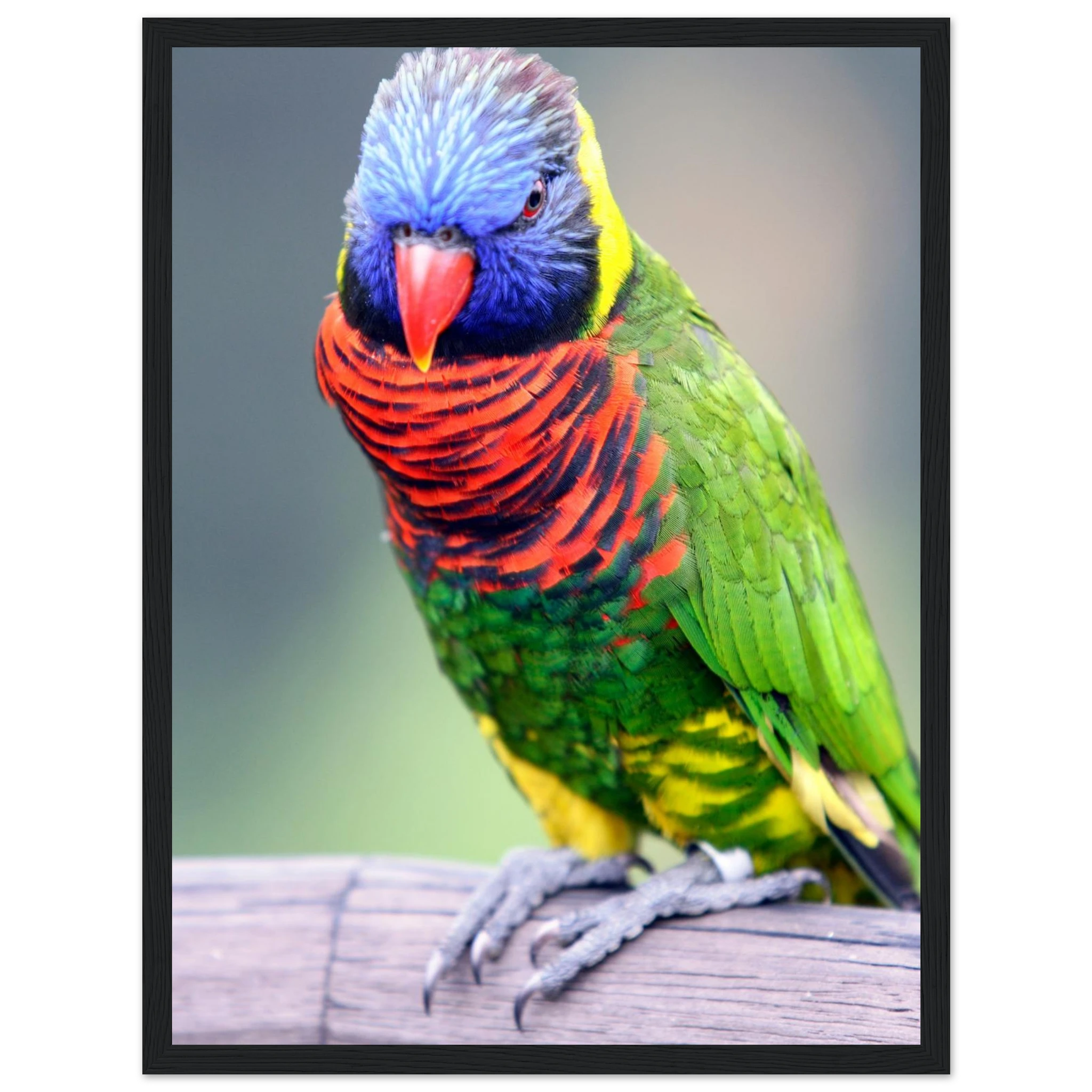 39cd7aea-e292-450a-9e98-6fe7fb416088