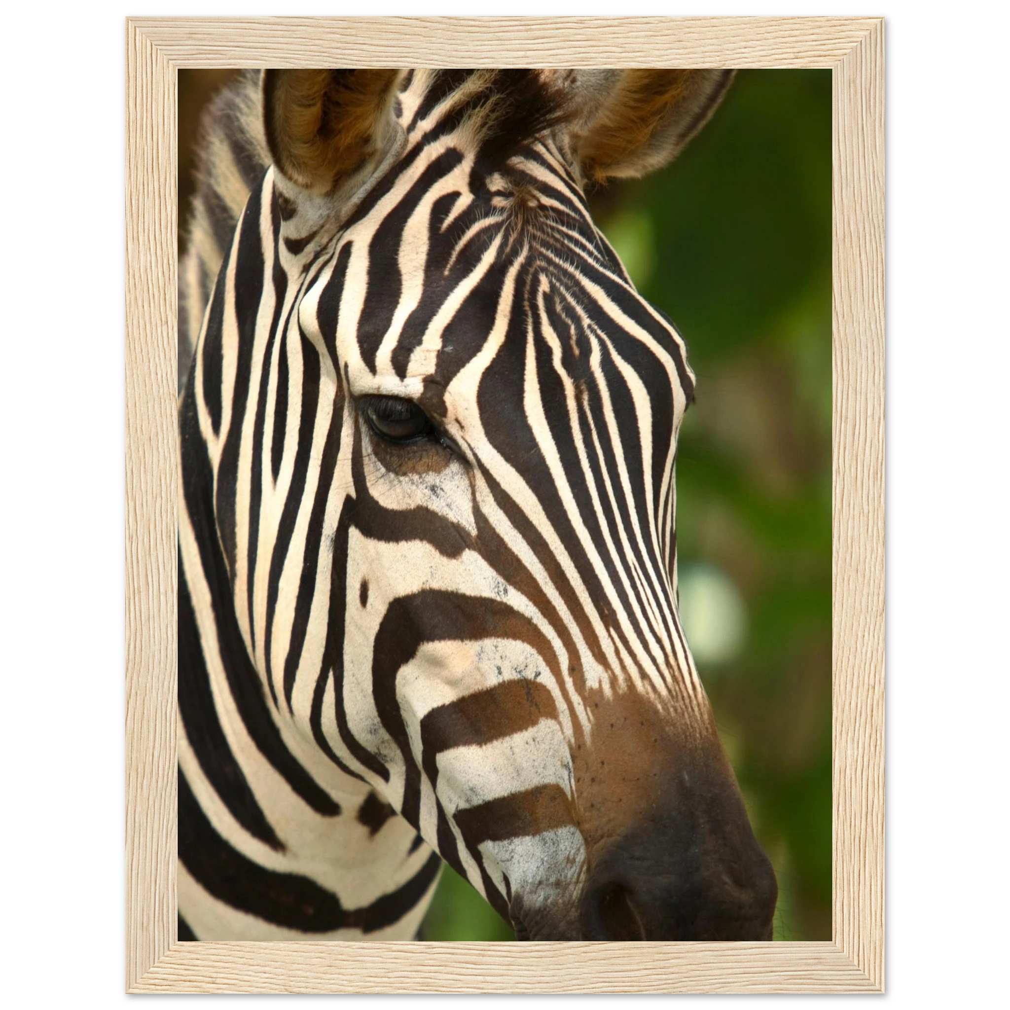 39fba663-f72b-4f1c-afdc-ecc4e39a5ba3