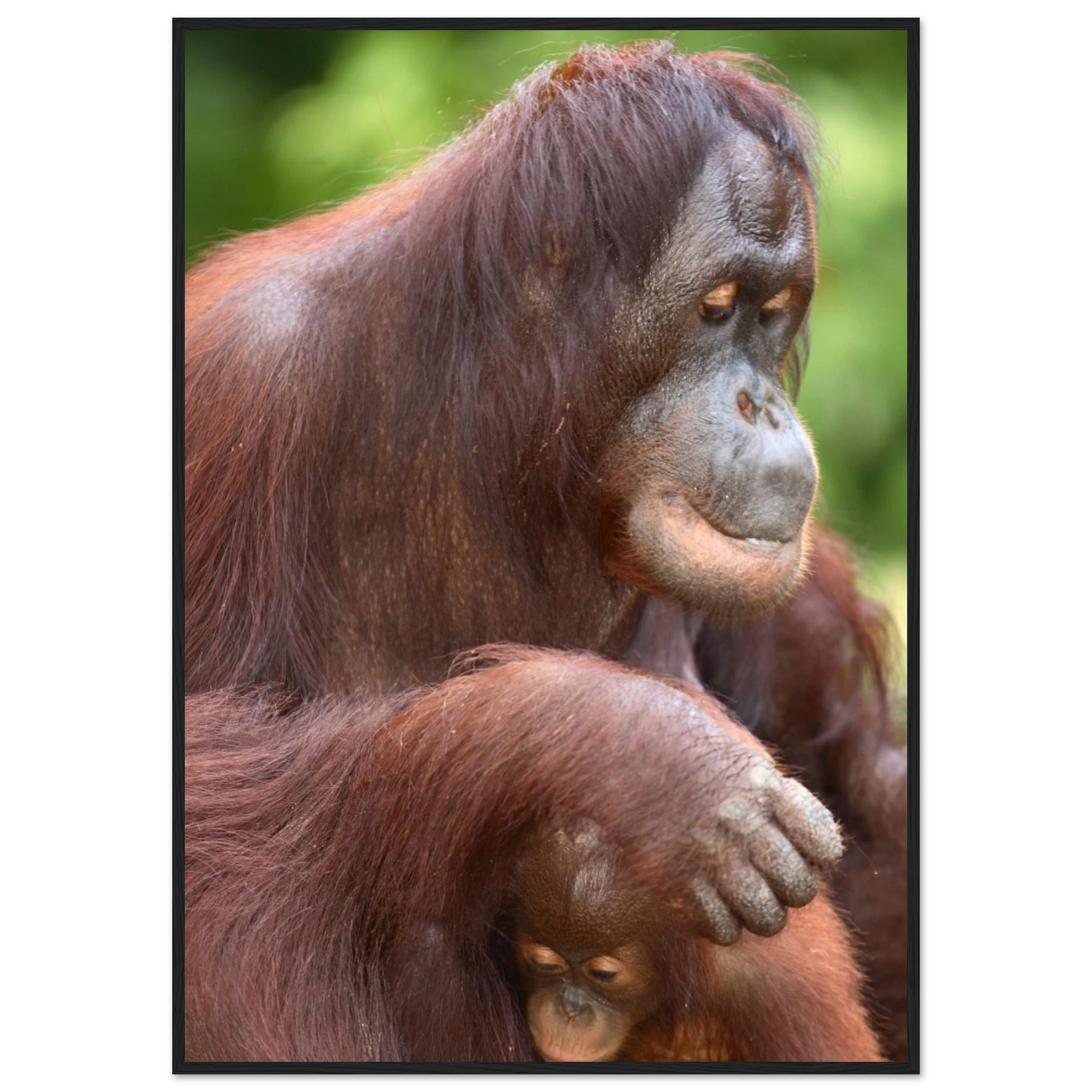 3a241238-bb6a-4f8d-8d83-2af194a4724c