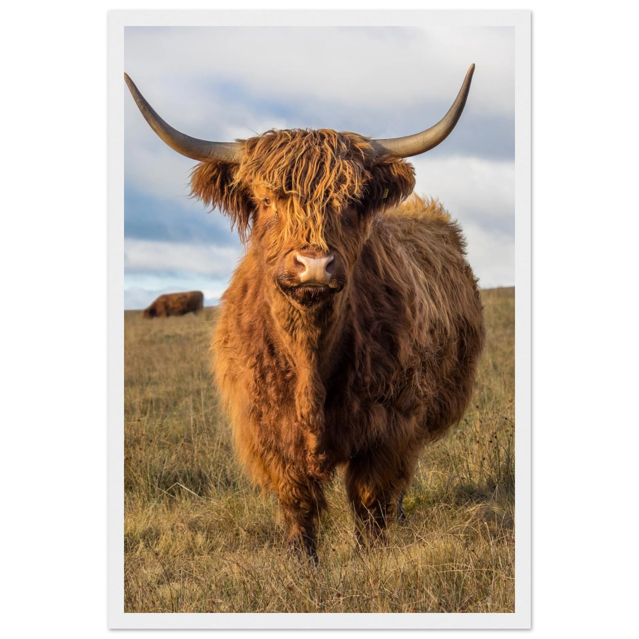 3a3b11a3-ba7e-4412-99f6-fc6b5283634a