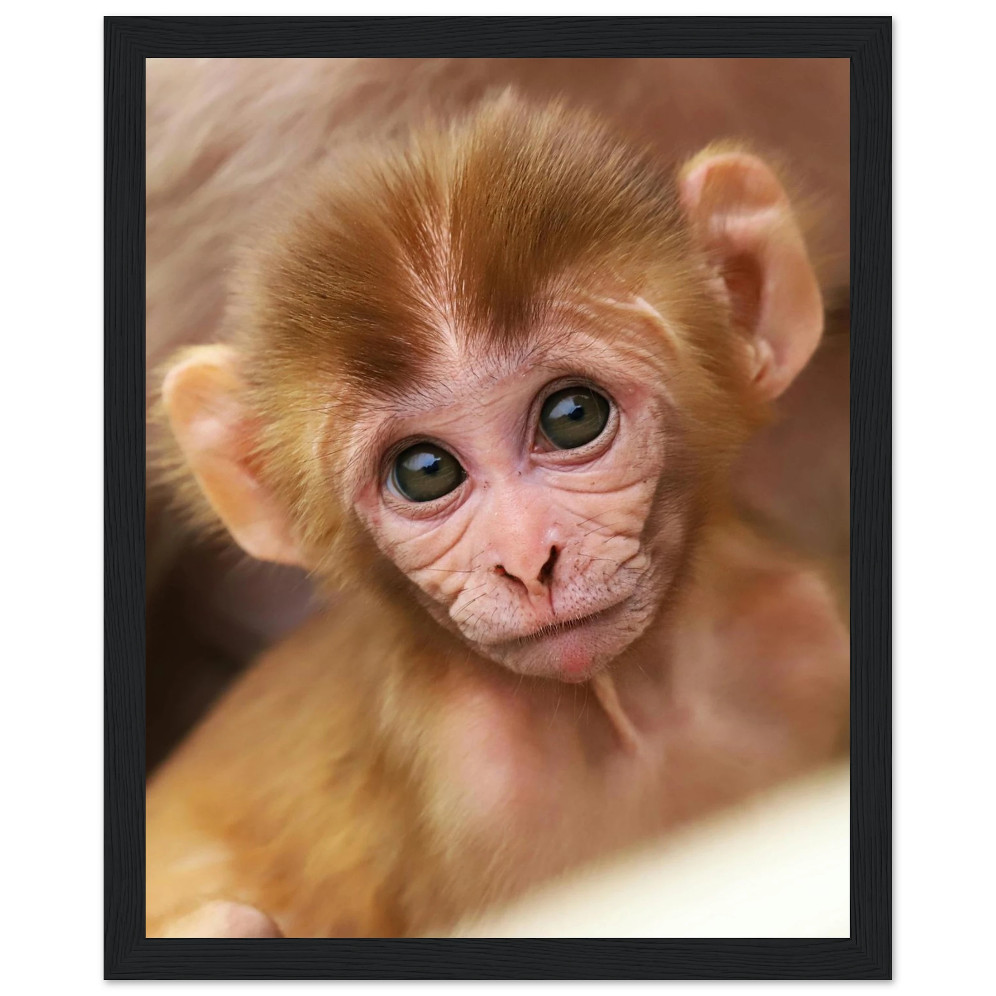 3a4ab310-4f74-4961-ac04-0ac409b3b72c