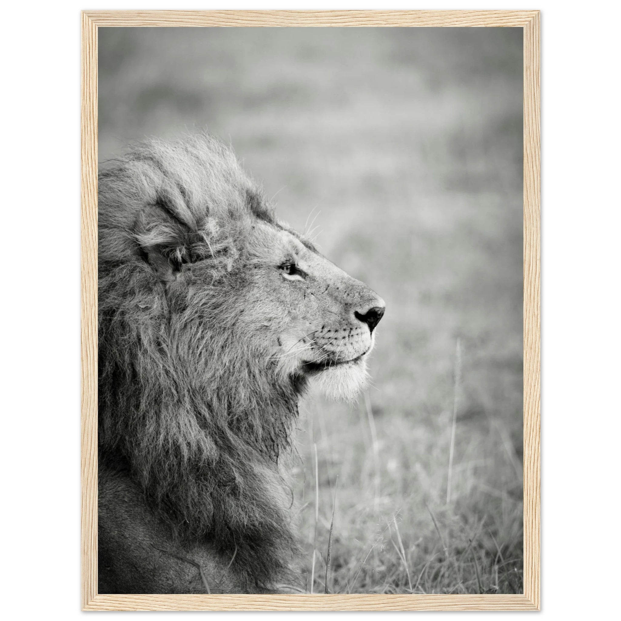 3a56ed4f-e1d9-4053-bab5-62ea2acafd40