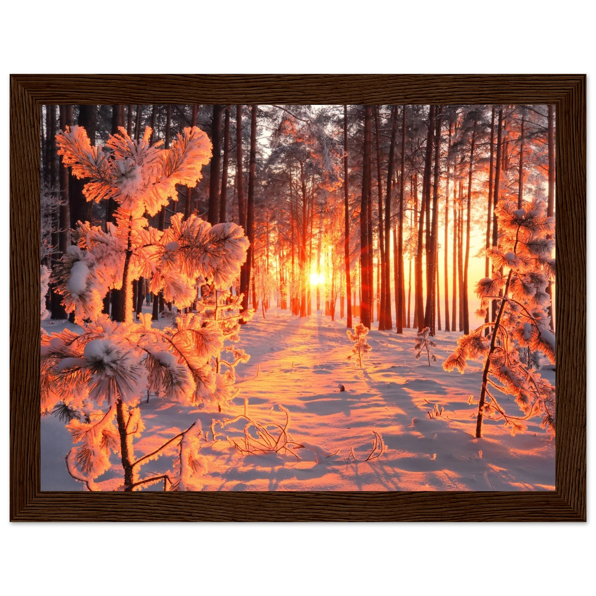 3a5ea2e1-5390-4789-acfa-5bb1ba4e3ae4