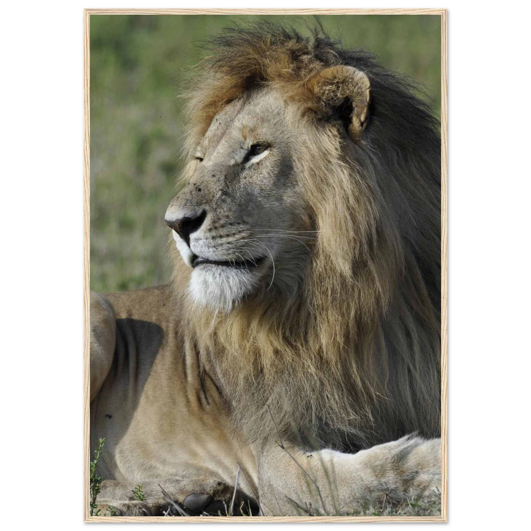 3a6dfed3-935d-4da9-8b7e-221c339b3ad4