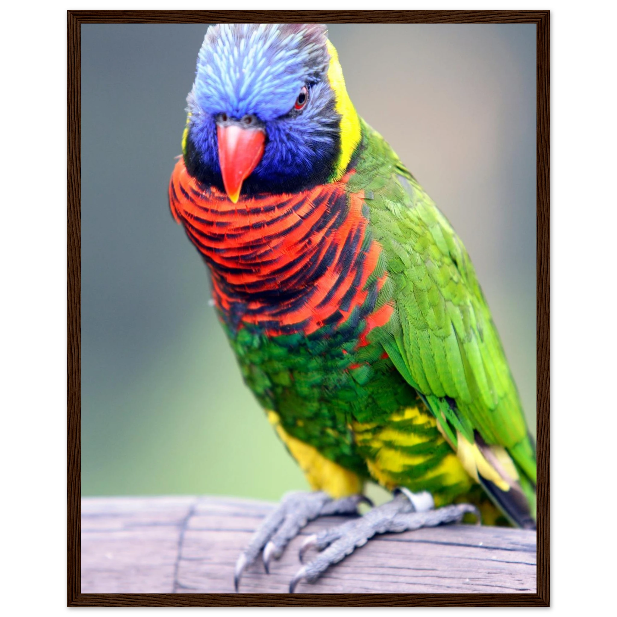 3a7d6154-1564-4f5b-8d8d-84e6a2e0f29c