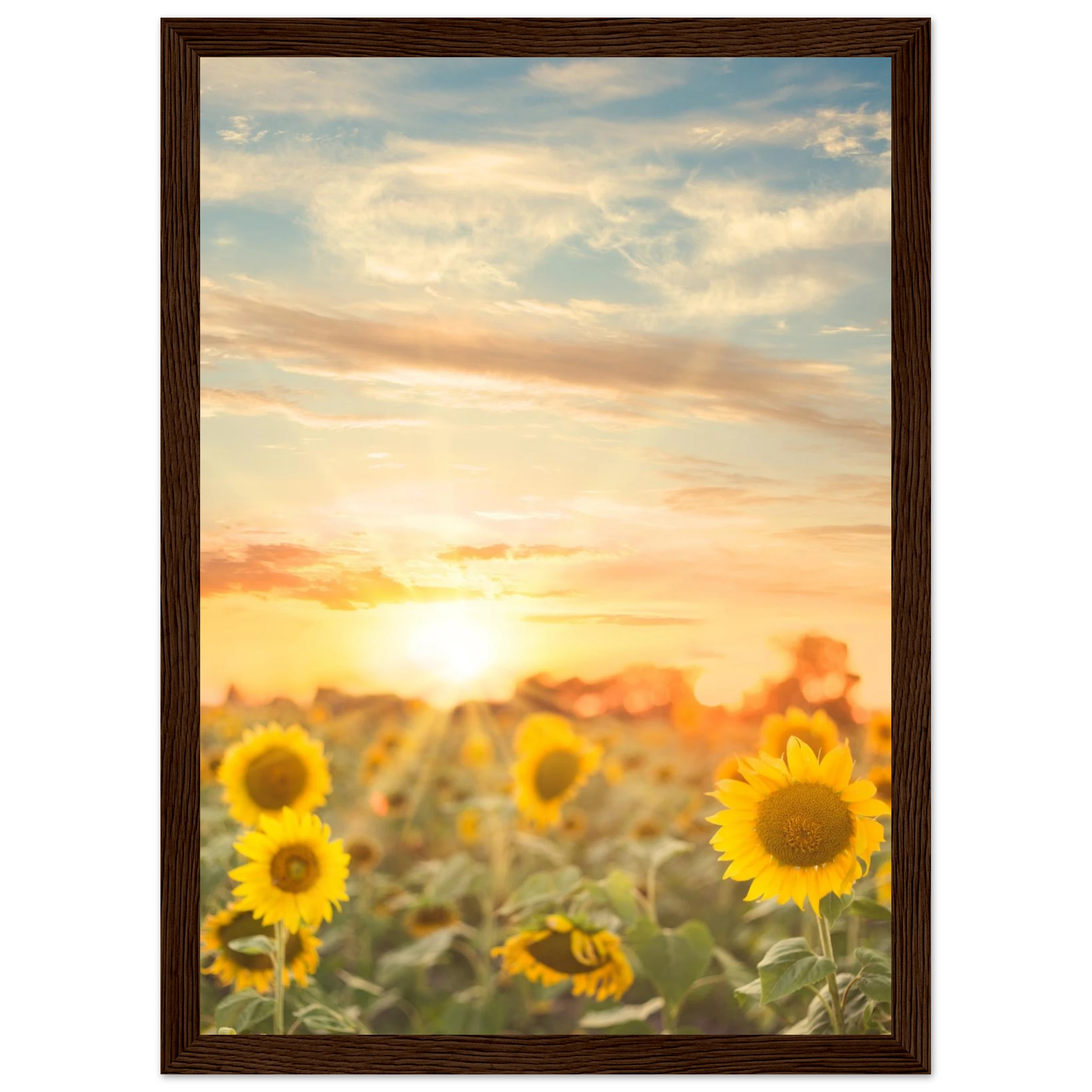 3a9253b5-fed2-4864-a9e5-51e6da8939e9