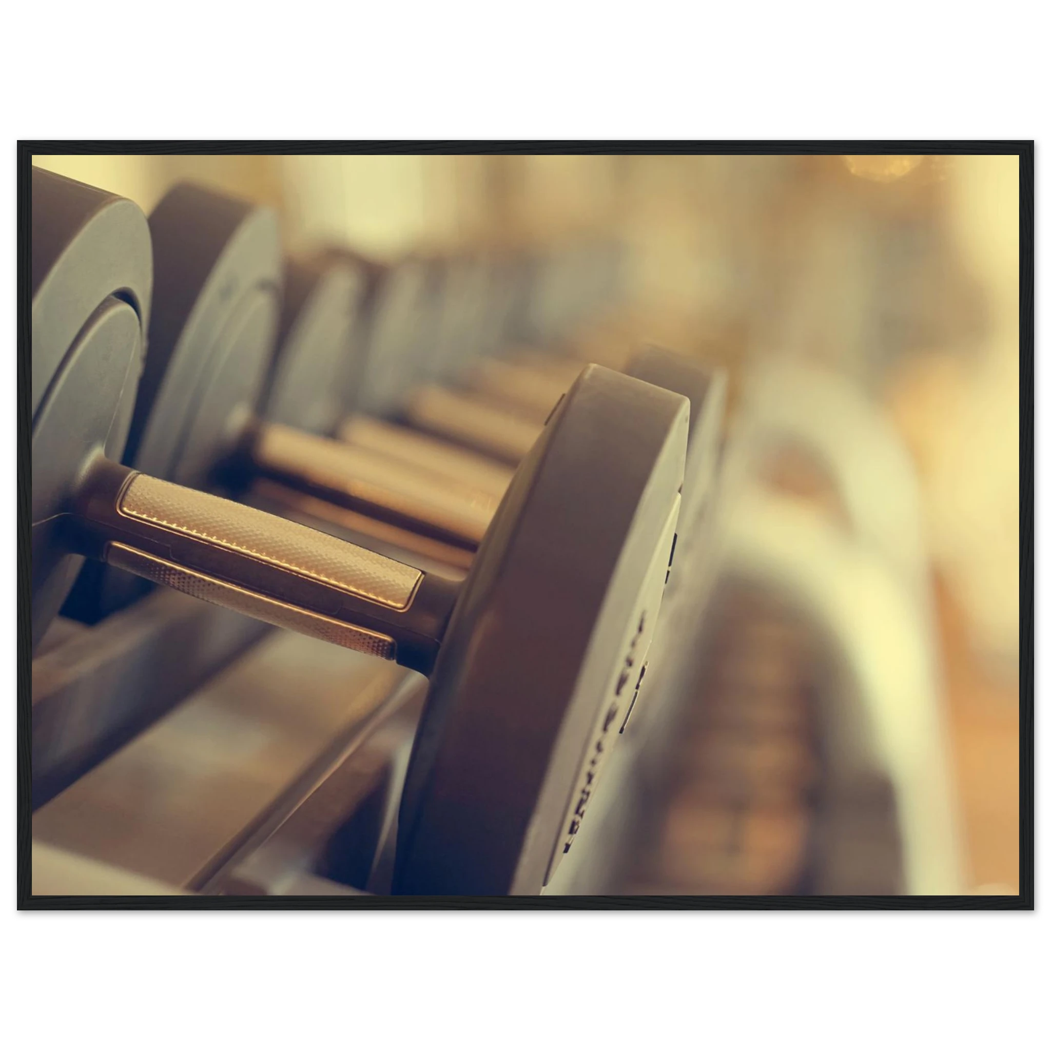 3a92da08-b240-4b4b-86fa-65dbaab788b6