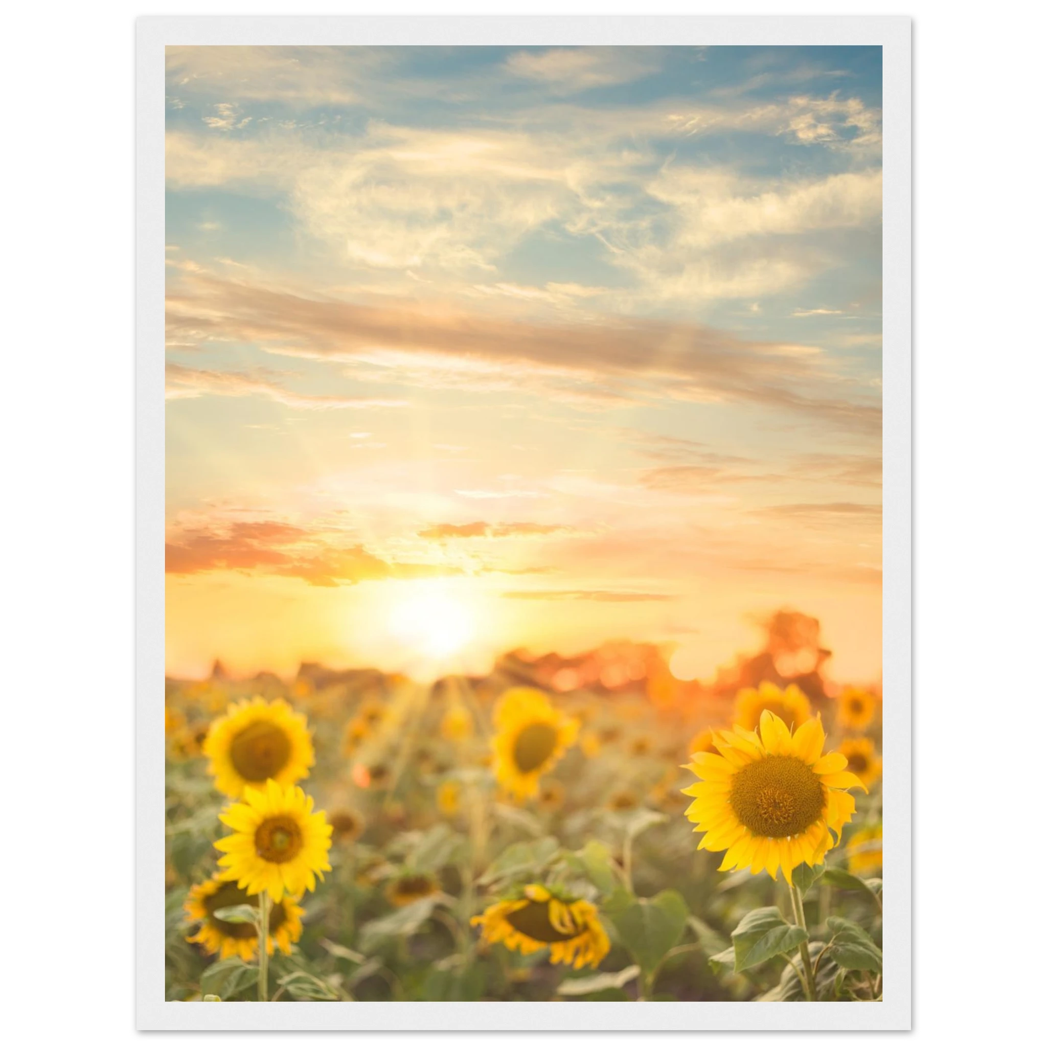 3ab07b2a-4dd6-4b9a-b4cc-c2e3d9ea5c76