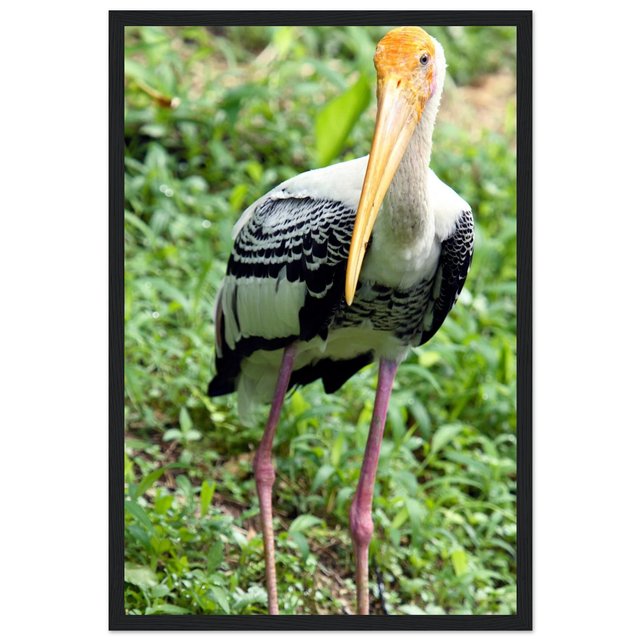 3ab288e0-b7b4-45cd-803c-c3e2c2386c12