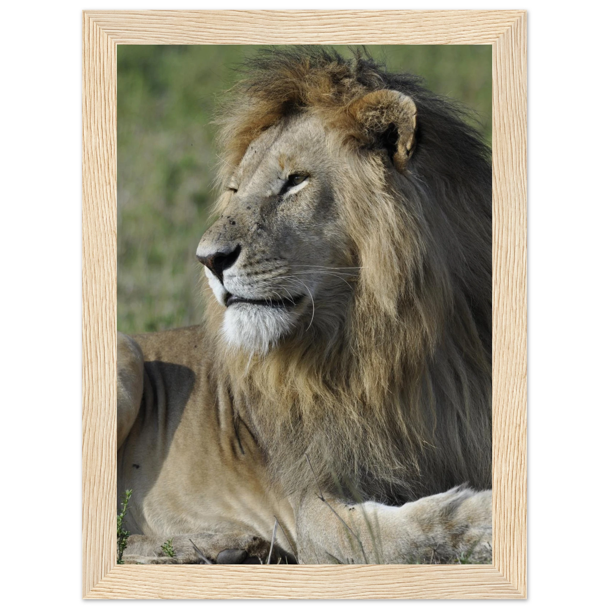 3ac52b12-1bc9-45d4-9a69-e424cf7e7483