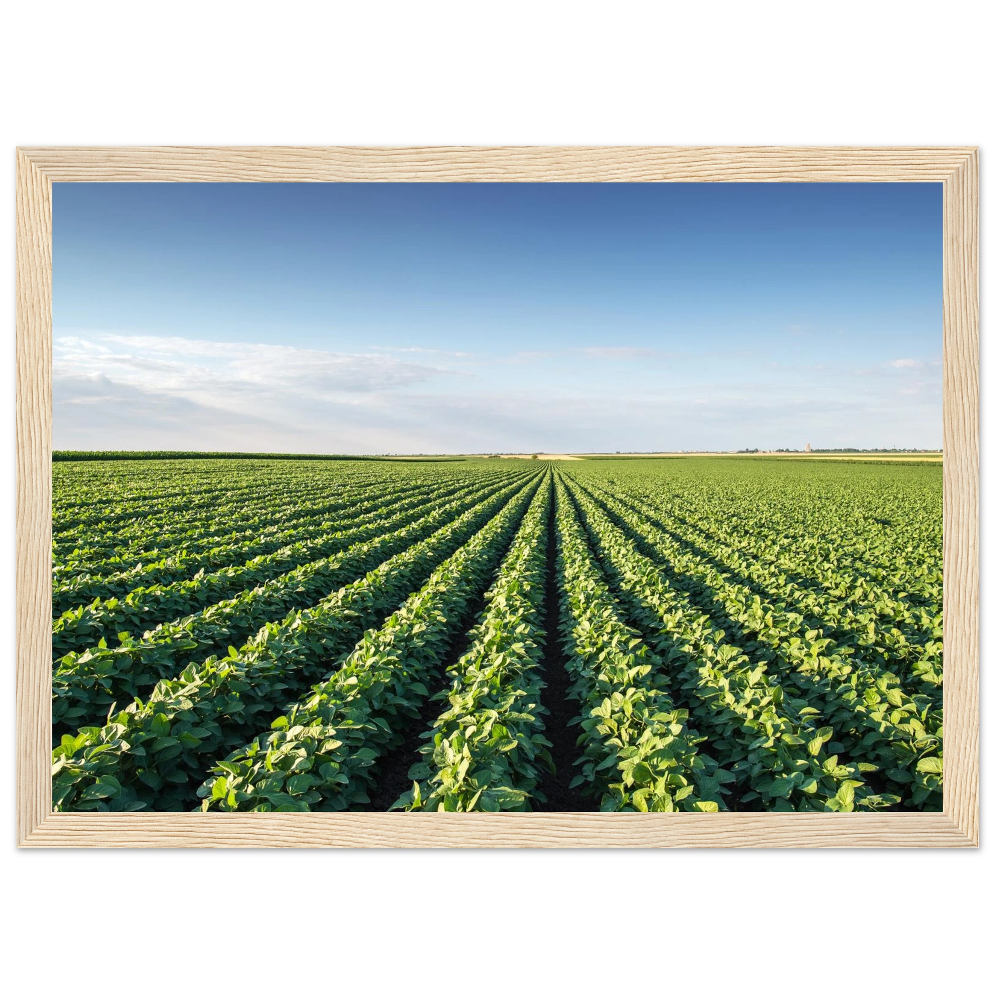 3ac6a1dd-026d-4b3c-be97-c3fef7de410b