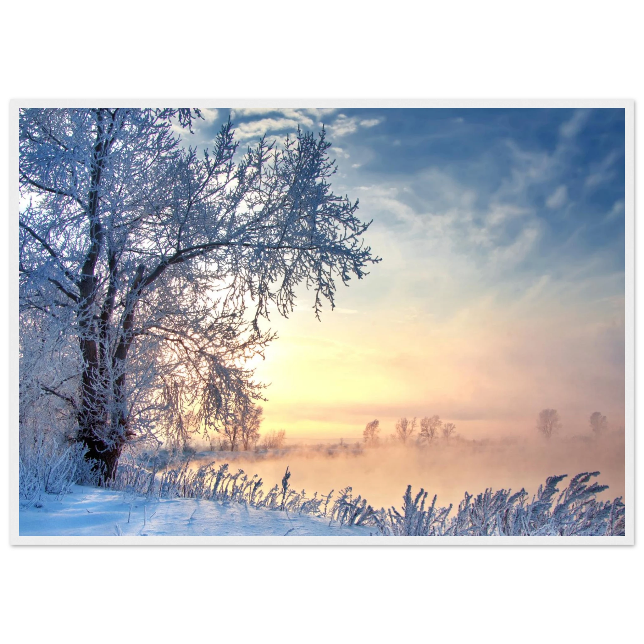 3aedf61b-dd29-4541-bce0-a471b5ab0f6a