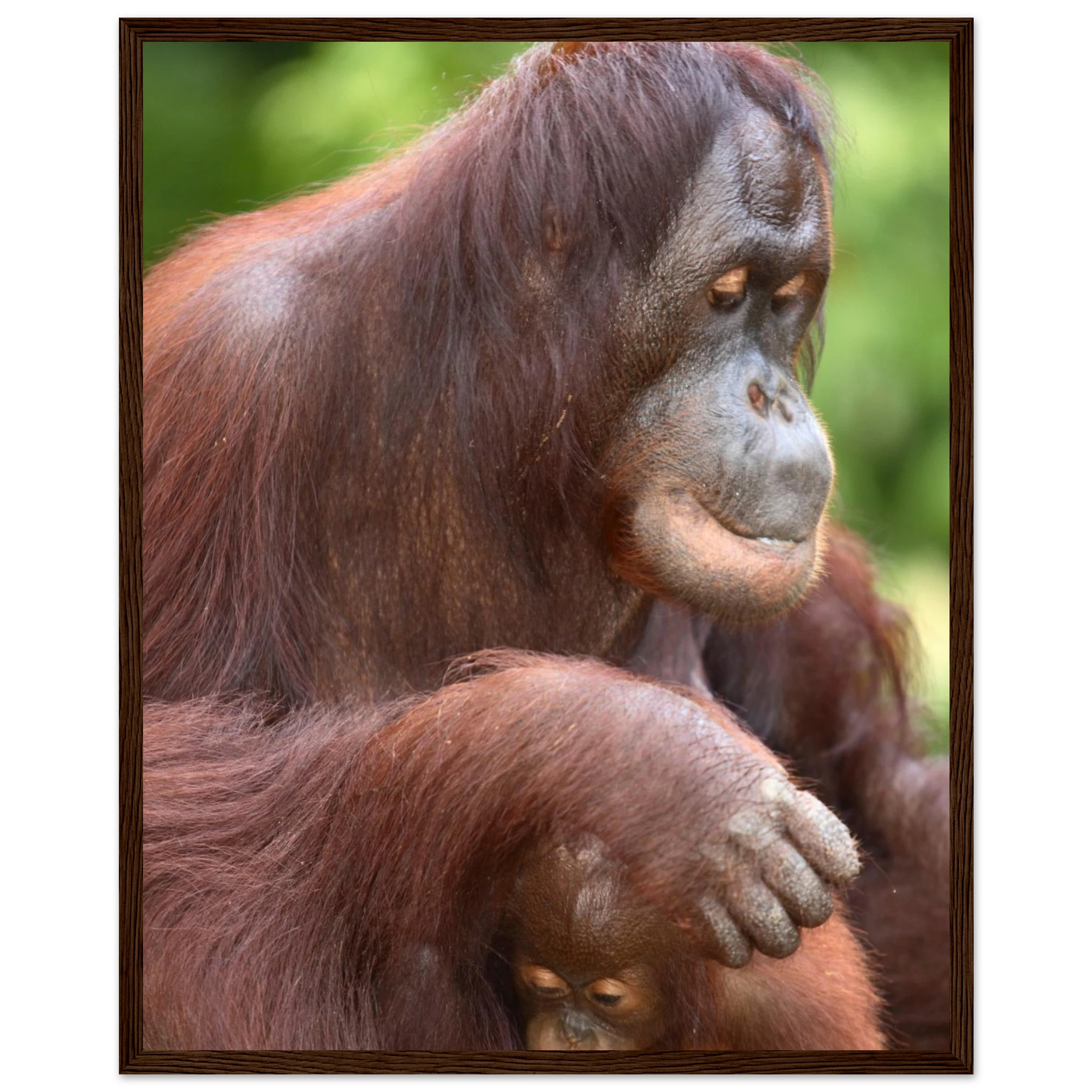 3b238caf-fbb8-4f9a-8a11-29b76629360e