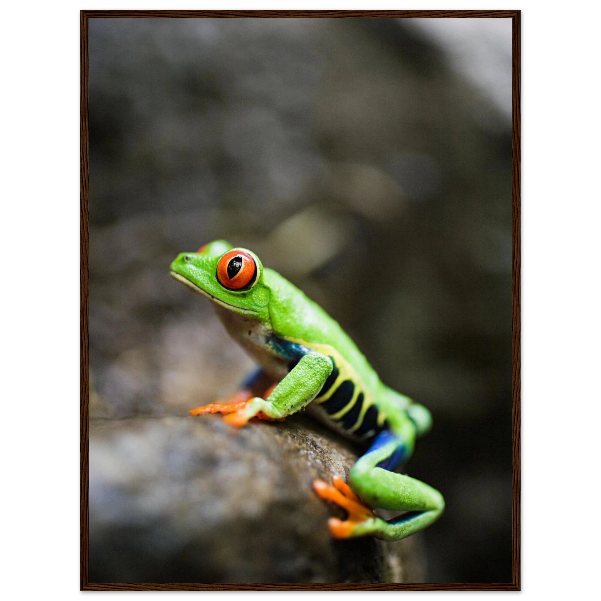 3b2499f0-adcd-4f4c-9fff-55451d009982