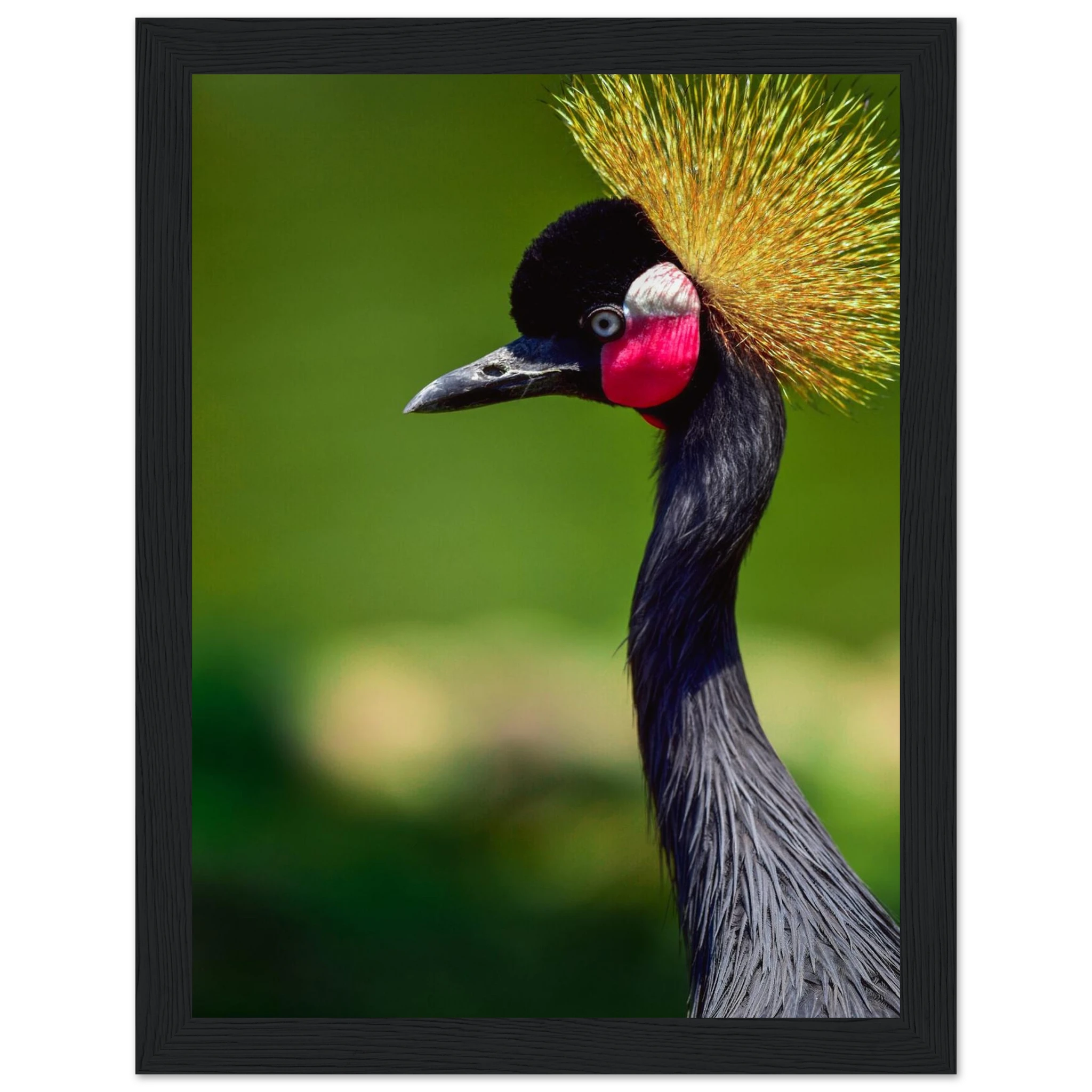 3b2e6dae-35b3-486e-b98a-8dd783f02dff