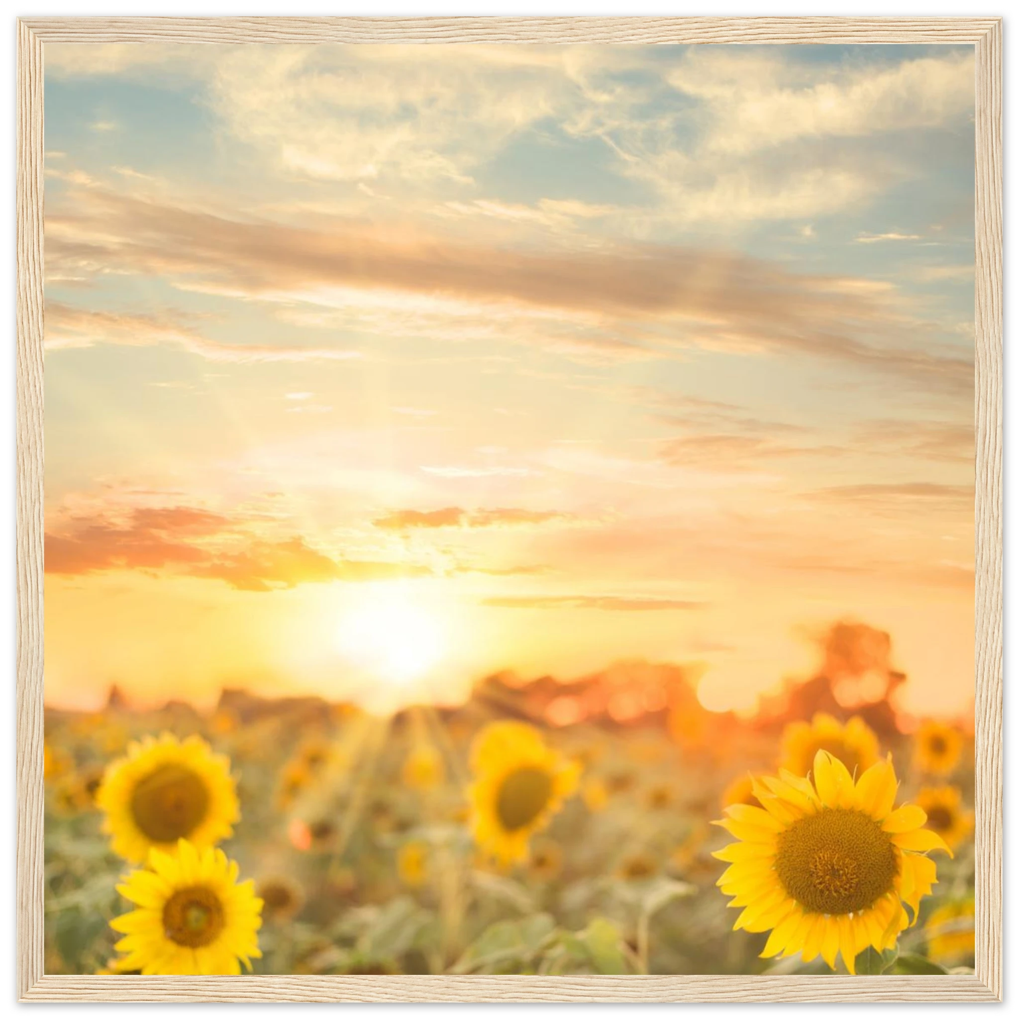 3b787f3c-c6b1-4489-92b4-38b00fb07ae5